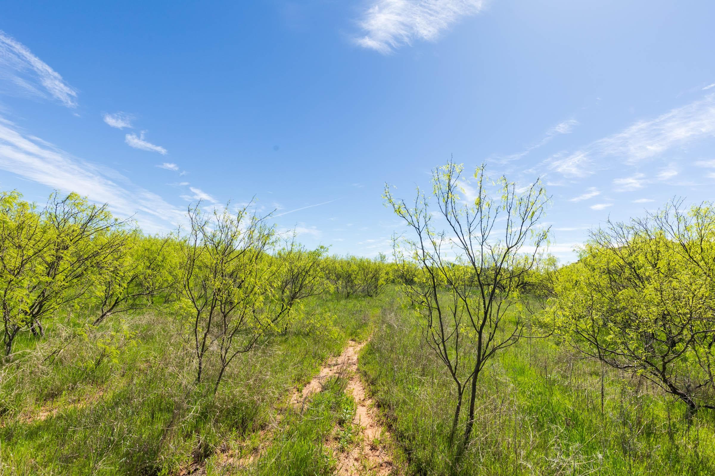 Hackberry Fields  — Zero Credit Land owner financed land for sale in Greer County, Oklahoma photo 46