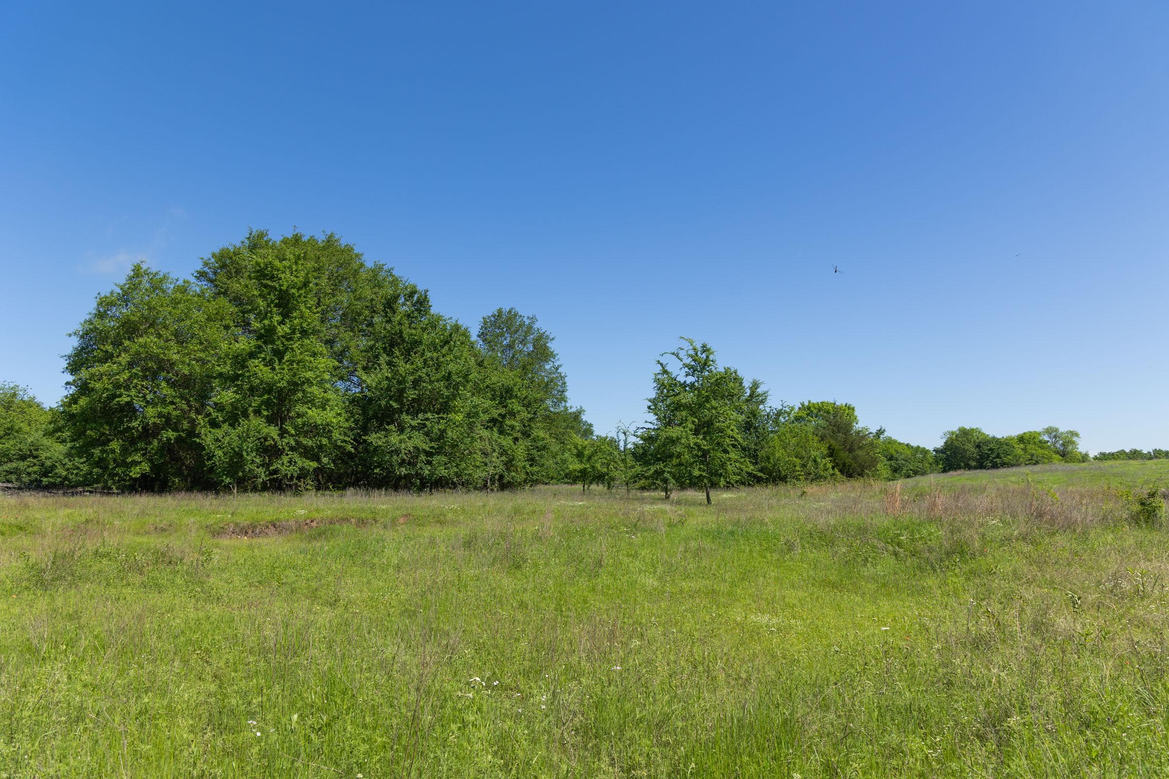 Harmony Hills — Zero Credit Land owner financed land for sale in Pittsburg County, Oklahoma photo 46