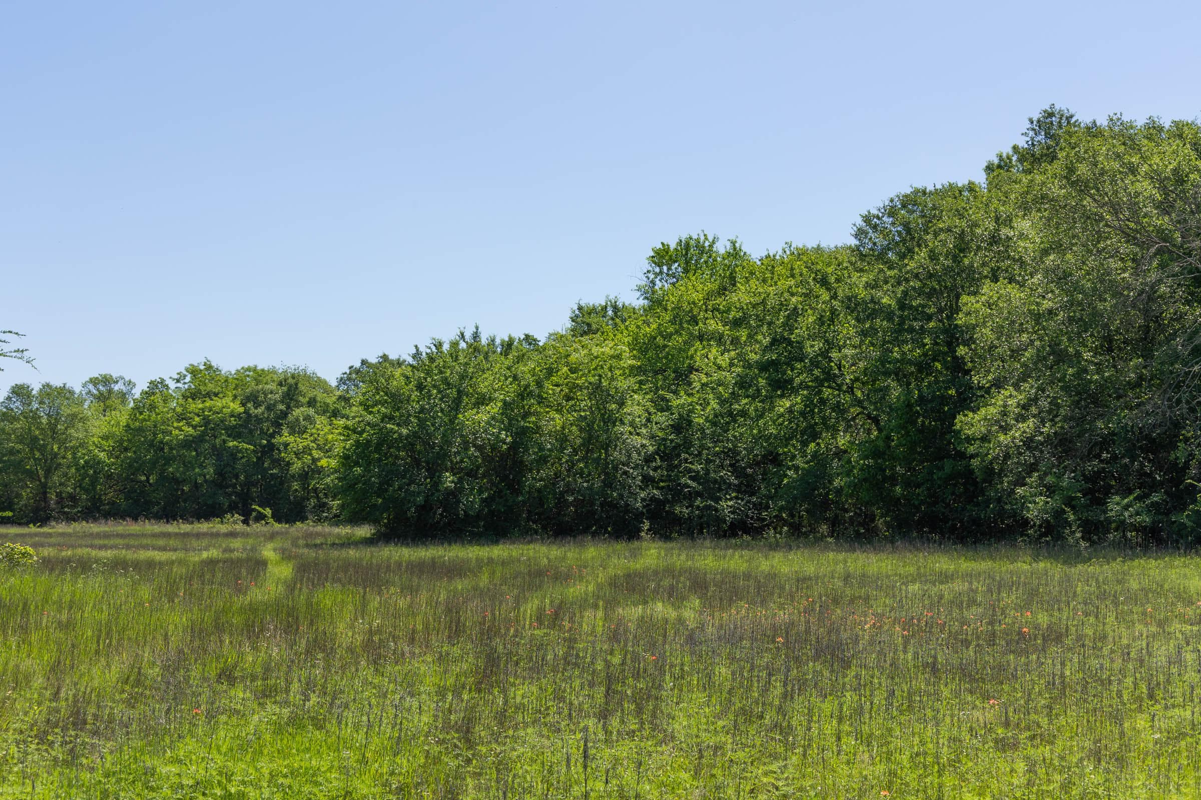 Harmony Hills — Zero Credit Land owner financed land for sale in Pittsburg County, Oklahoma photo 48