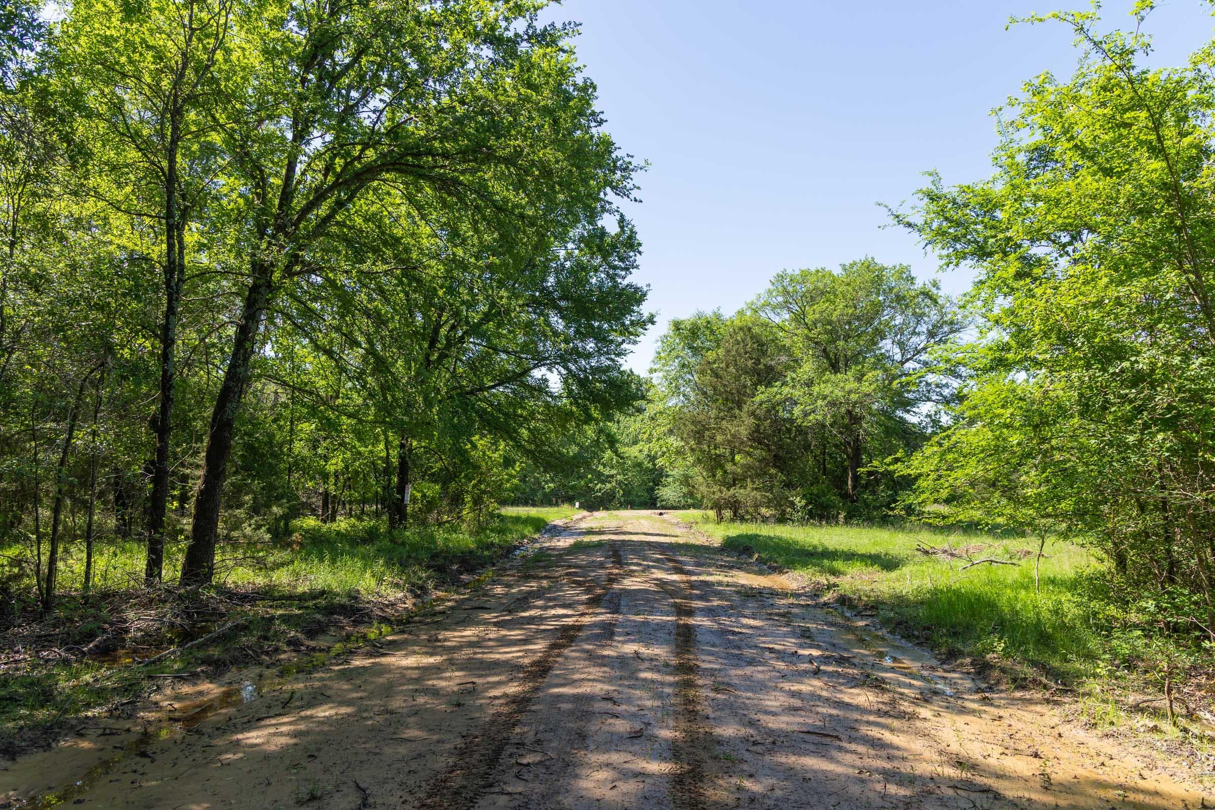 Harmony Hills — Zero Credit Land owner financed land for sale in Pittsburg County, Oklahoma photo 49