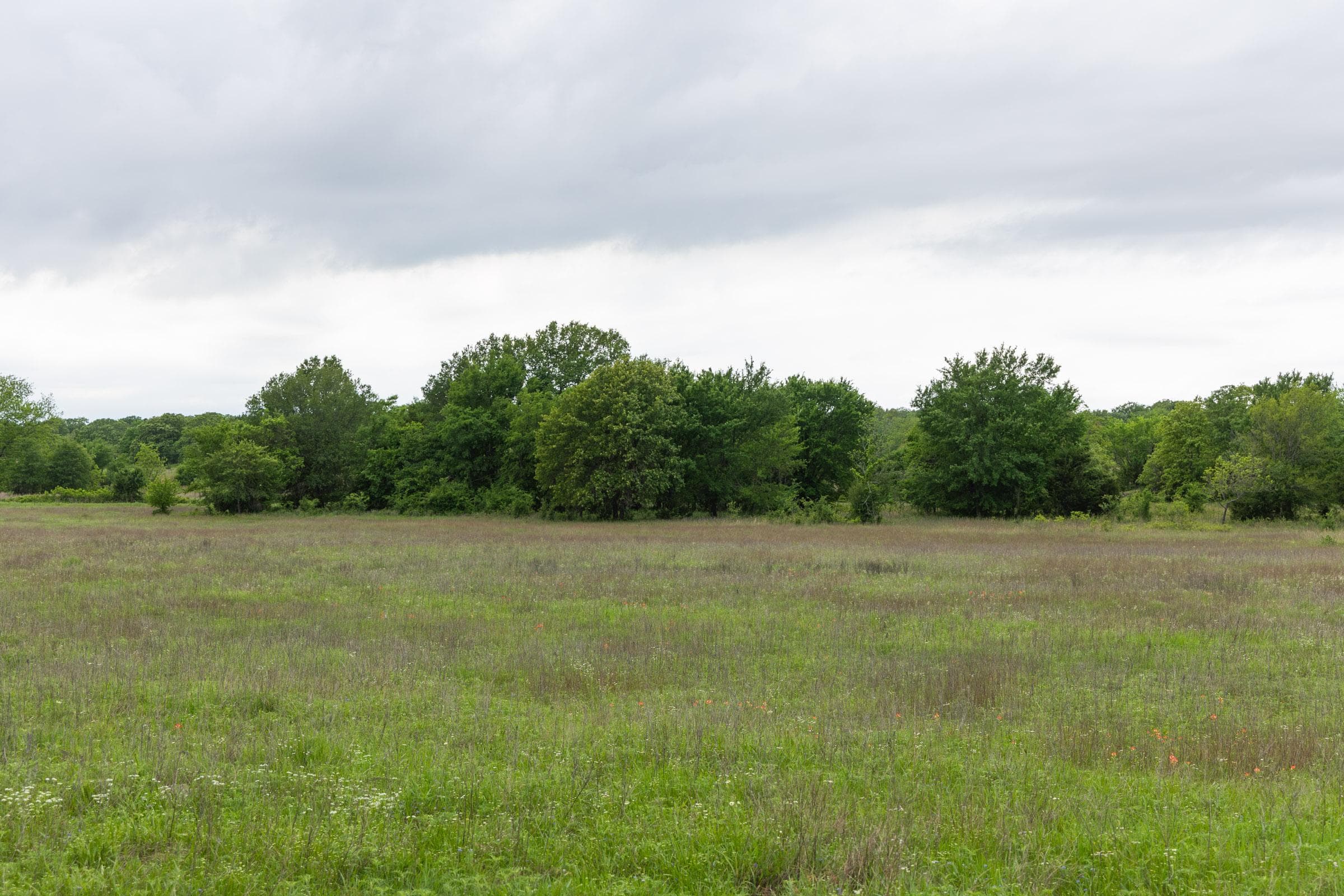 Harmony Hills — Zero Credit Land owner financed land for sale in Pittsburg County, Oklahoma photo 37