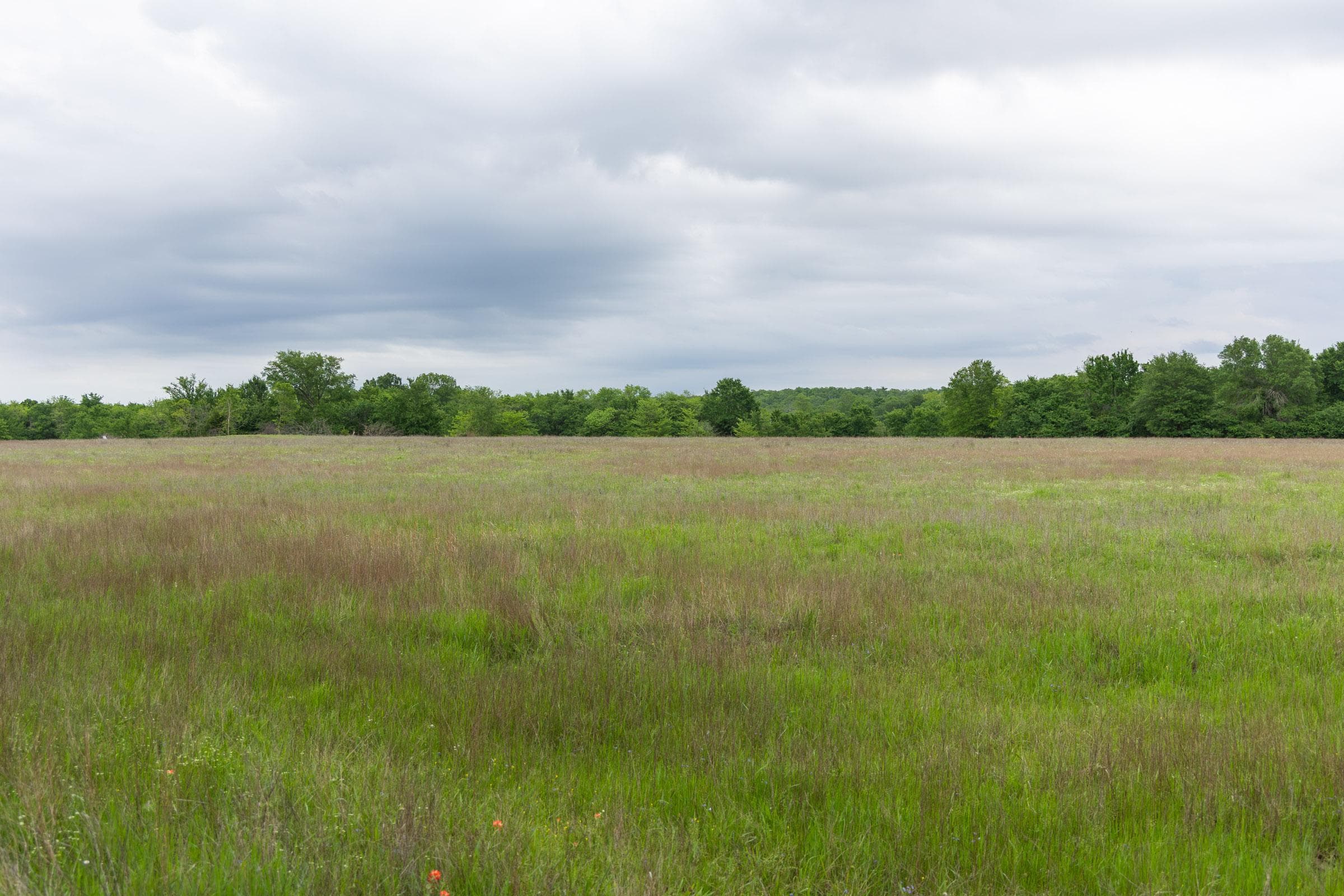 Harmony Hills — Zero Credit Land owner financed land for sale in Pittsburg County, Oklahoma photo 38