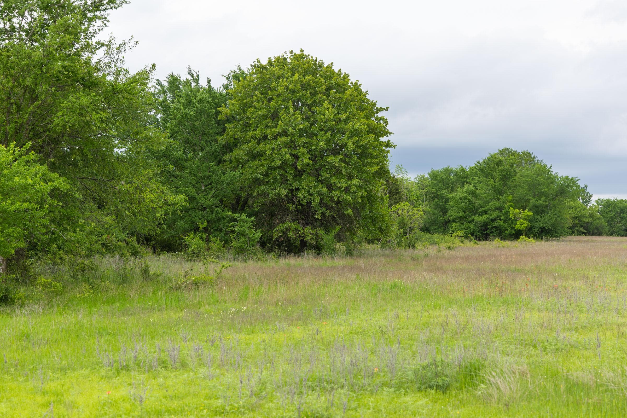 Harmony Hills — Zero Credit Land owner financed land for sale in Pittsburg County, Oklahoma photo 35