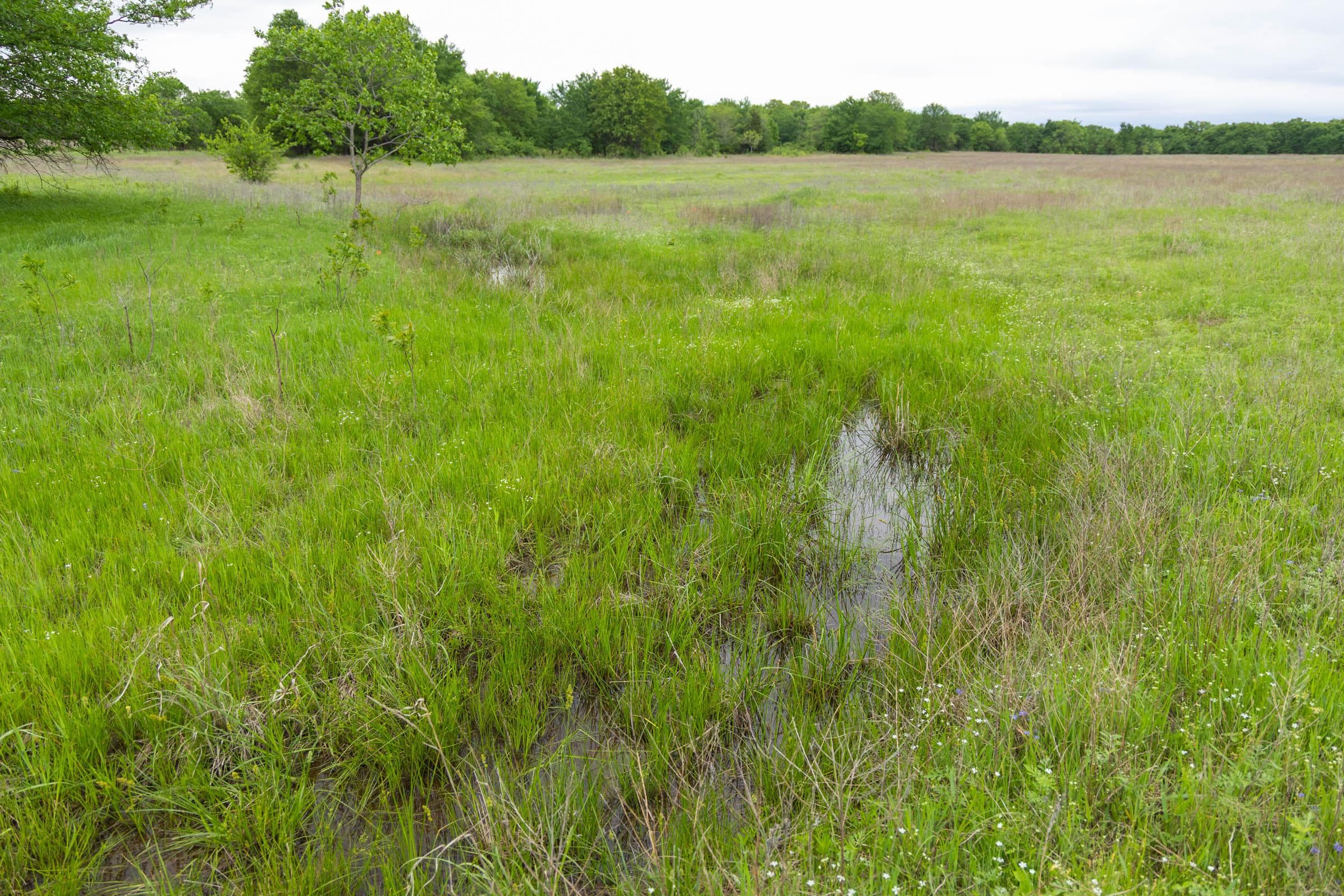 Harmony Hills — Zero Credit Land owner financed land for sale in Pittsburg County, Oklahoma photo 34