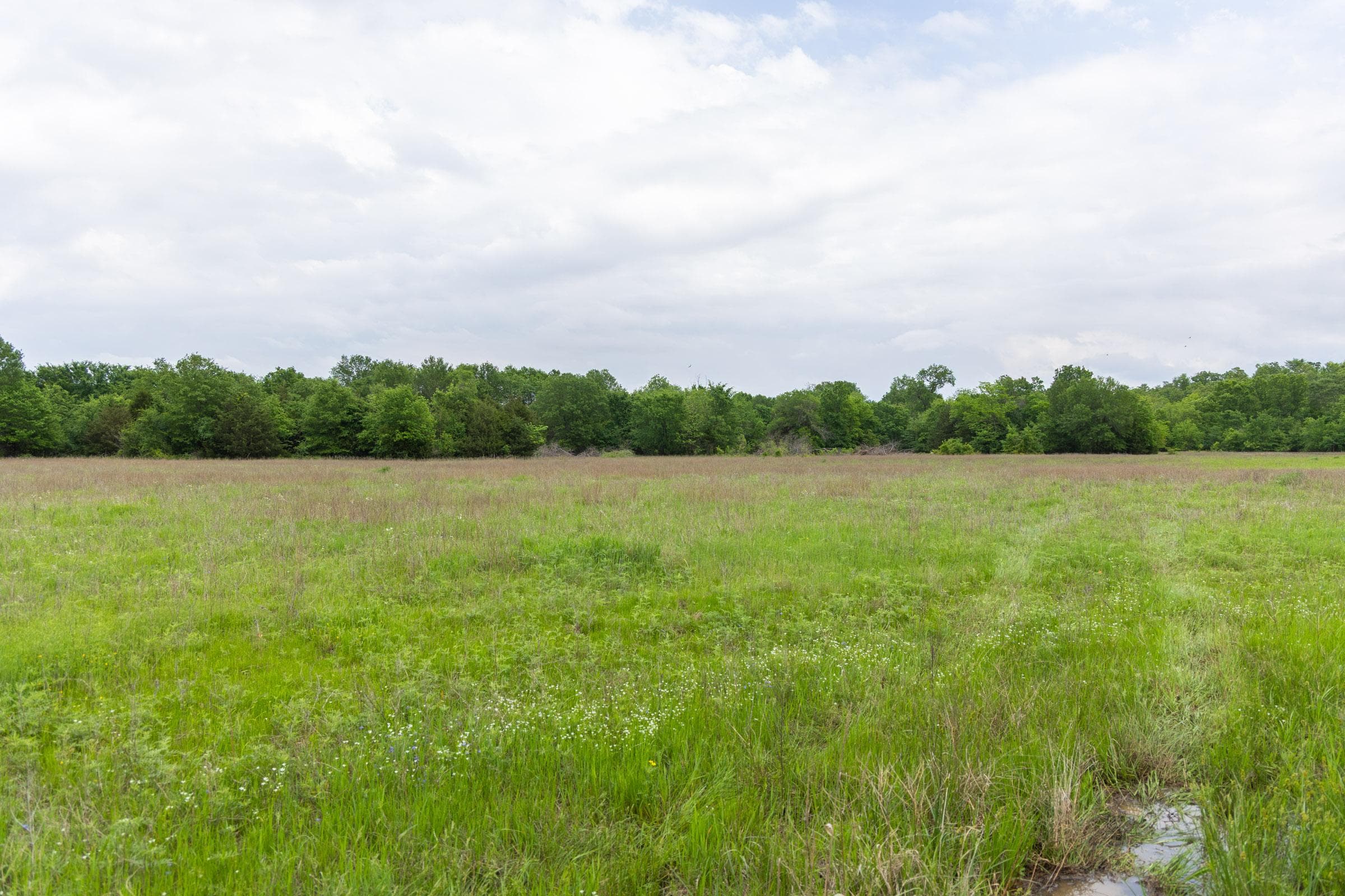 Harmony Hills — Zero Credit Land owner financed land for sale in Pittsburg County, Oklahoma photo 32