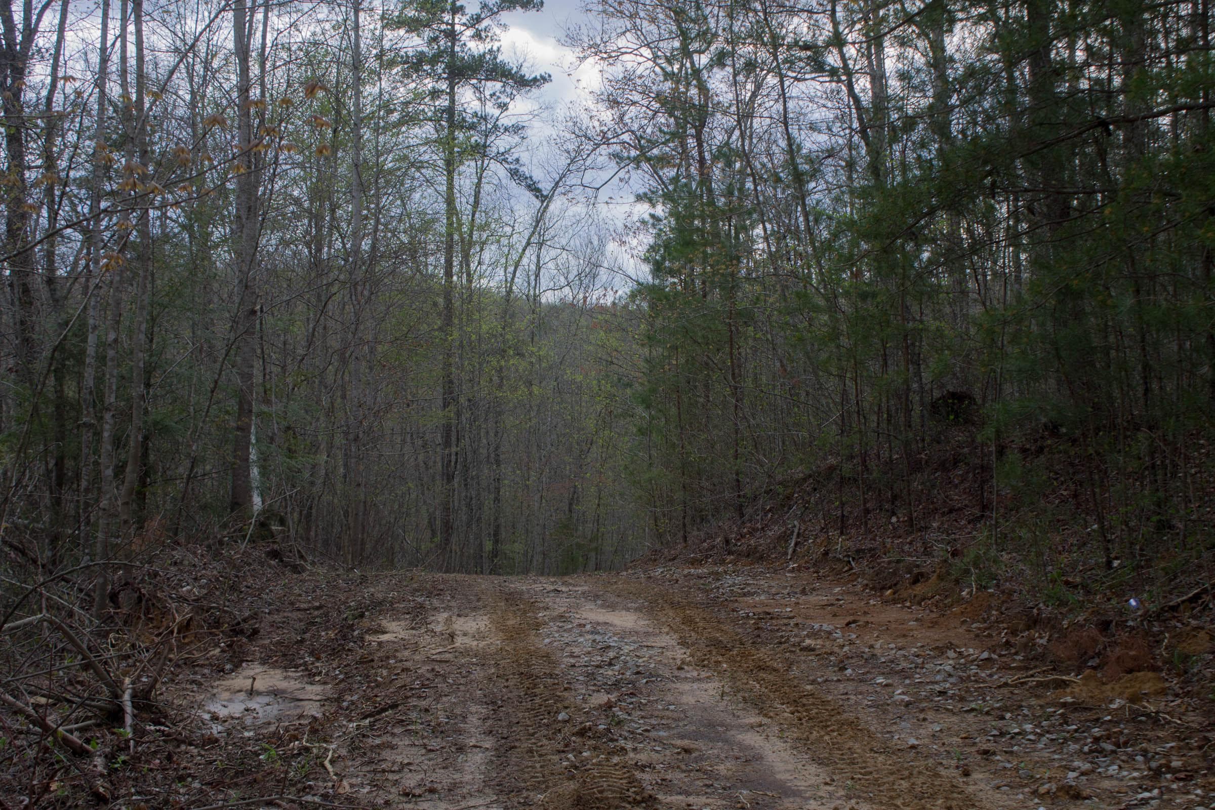 Hidden Hills — Zero Credit Land owner financed land for sale in Sequatchie County, Tennessee