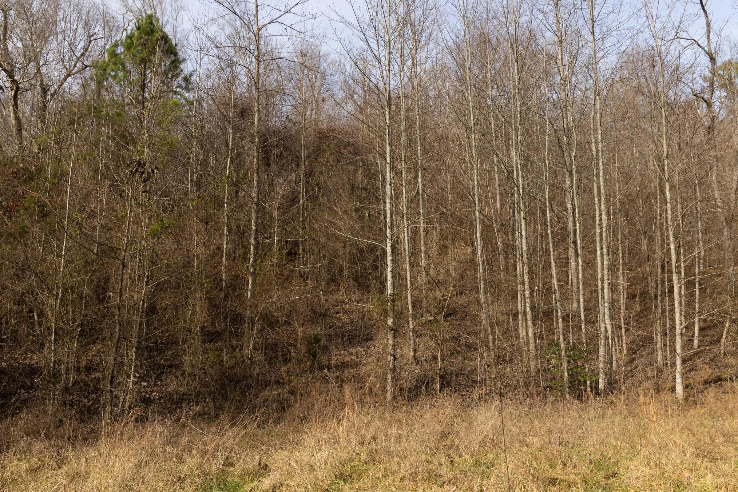 Jade Pass — Zero Credit Land owner financed land for sale in Whitley County, Kentucky photo 188