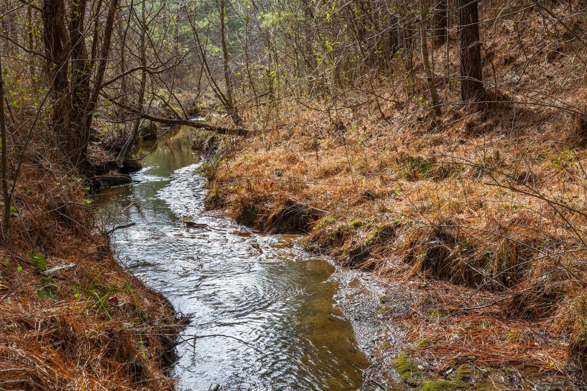 Jade Pass — Zero Credit Land owner financed land for sale in Whitley County, Kentucky photo 186