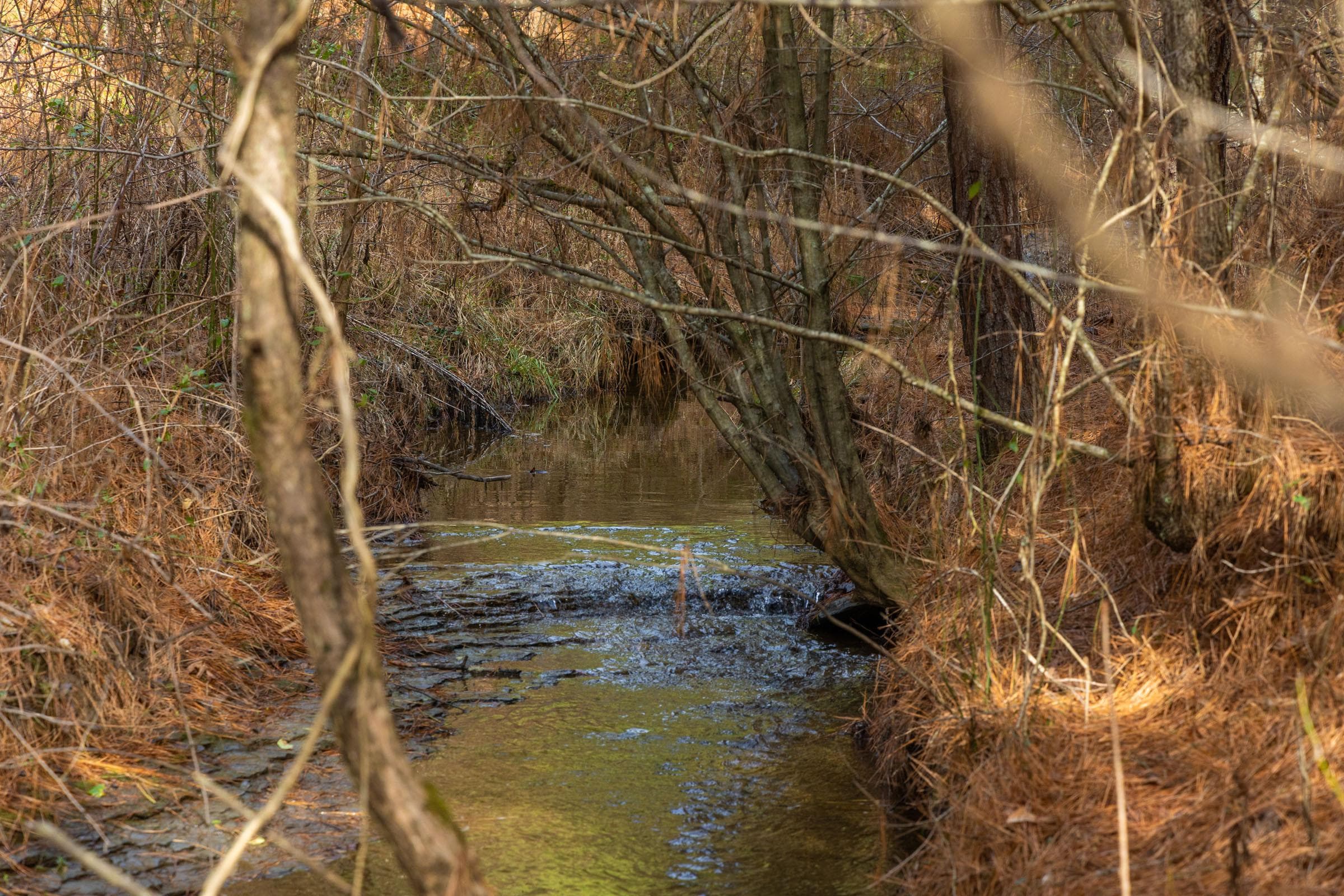 Jade Pass — Zero Credit Land owner financed land for sale in Whitley County, Kentucky photo 190