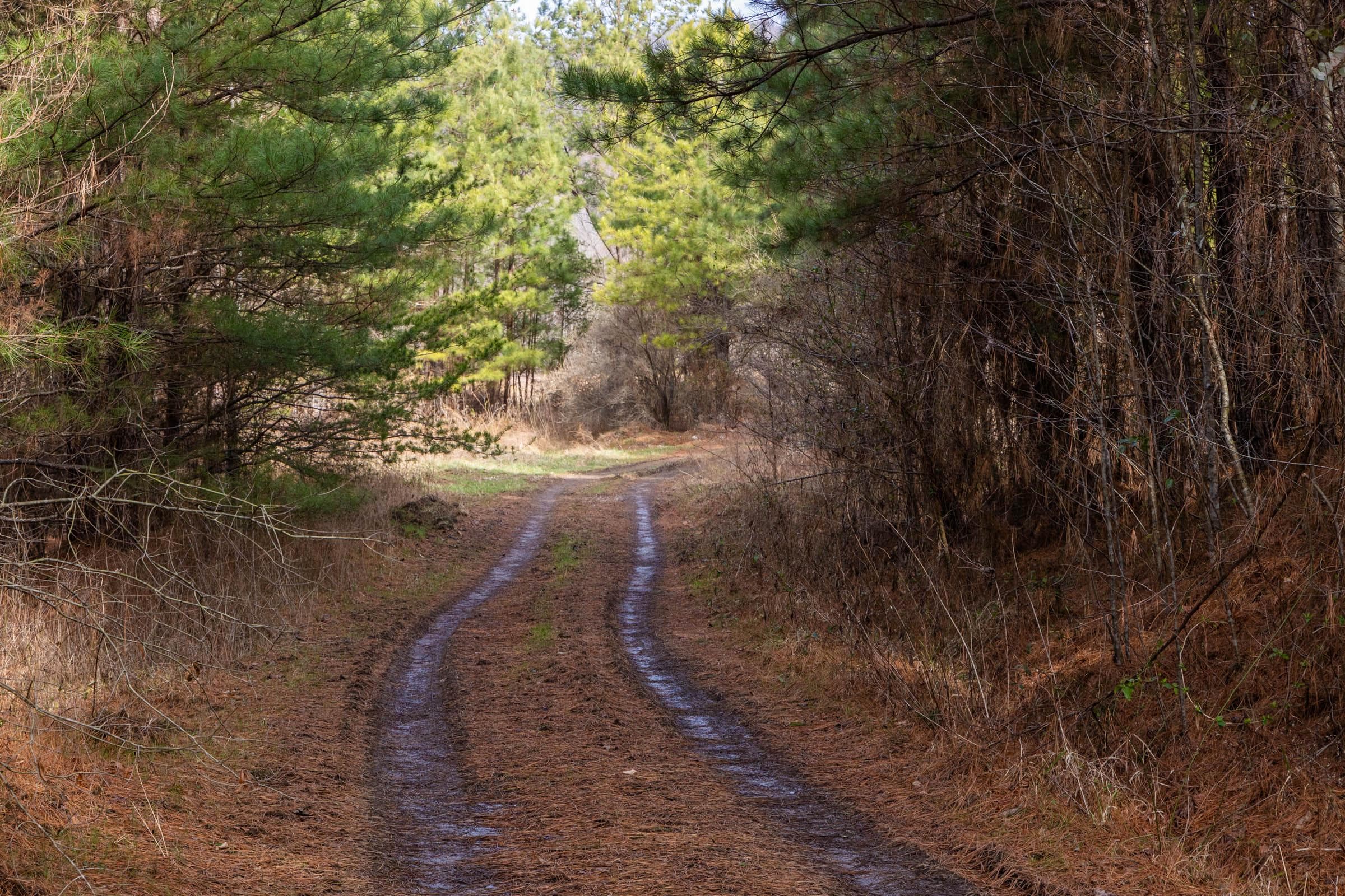 Jade Pass — Zero Credit Land owner financed land for sale in Whitley County, Kentucky photo 187