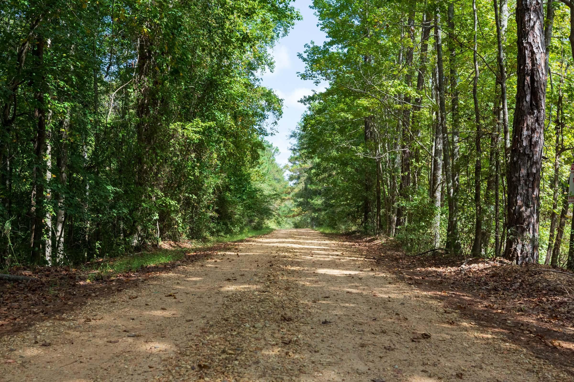 Willow Grove — Zero Credit Land owner financed land for sale in Lamar County, Alabama photo 18