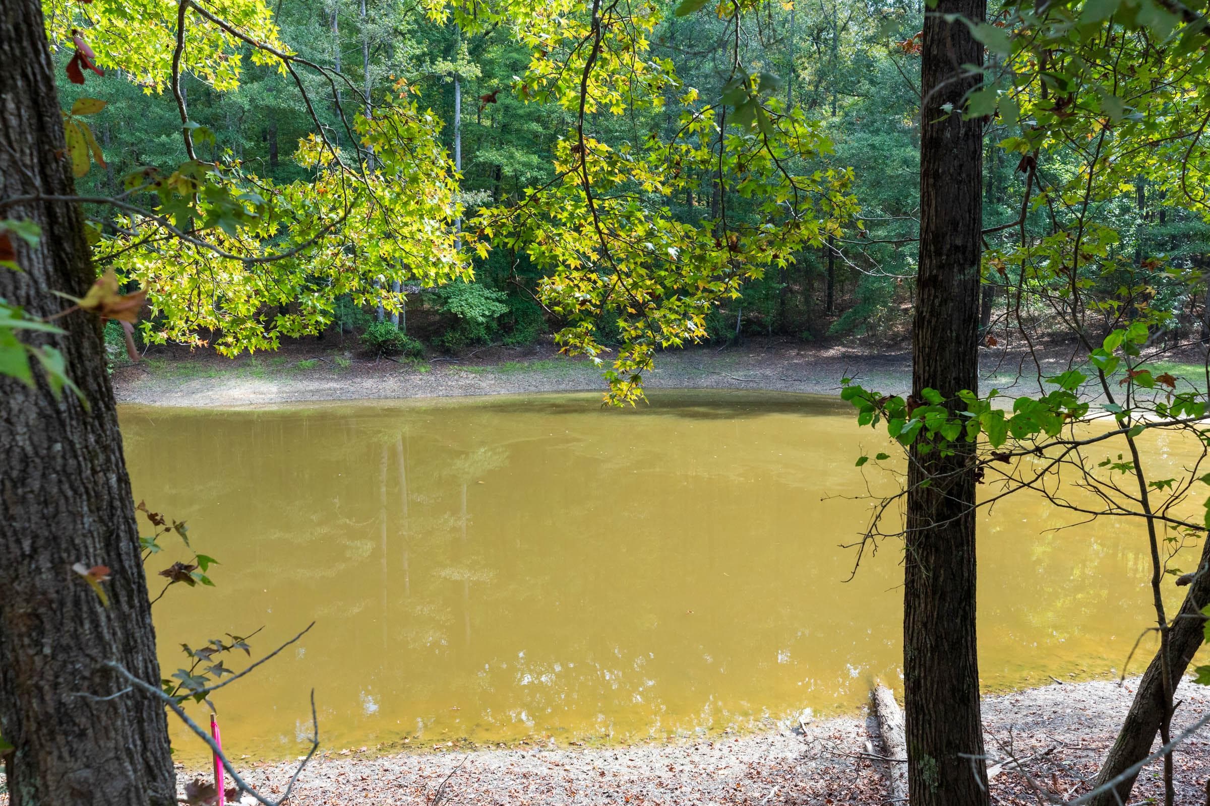 Willow Grove — Zero Credit Land owner financed land for sale in Lamar County, Alabama photo 19