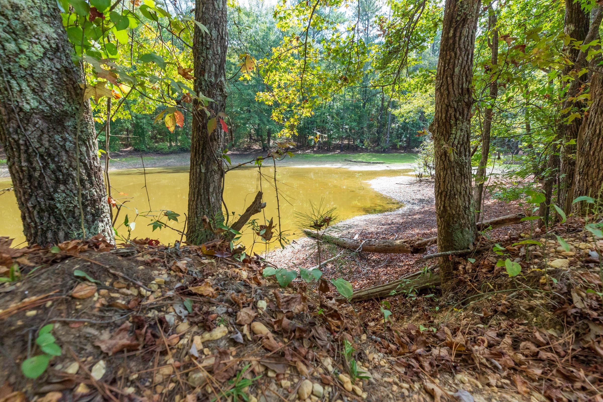 Willow Grove — Zero Credit Land owner financed land for sale in Lamar County, Alabama photo 17