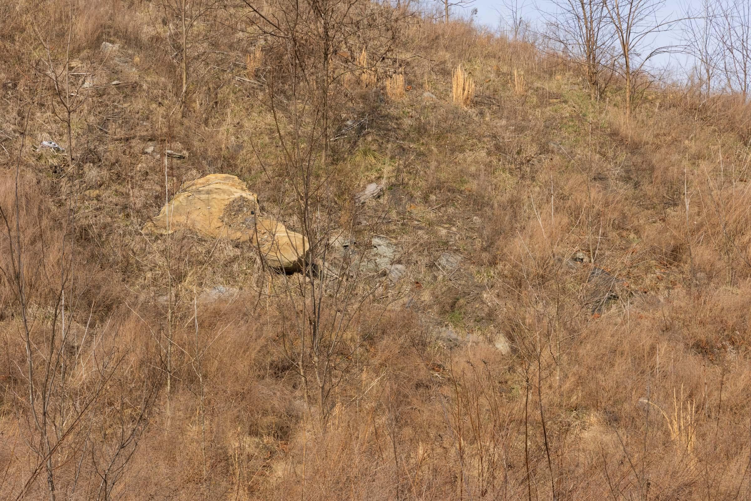 Jade Pass — Zero Credit Land owner financed land for sale in Whitley County, Kentucky photo 179