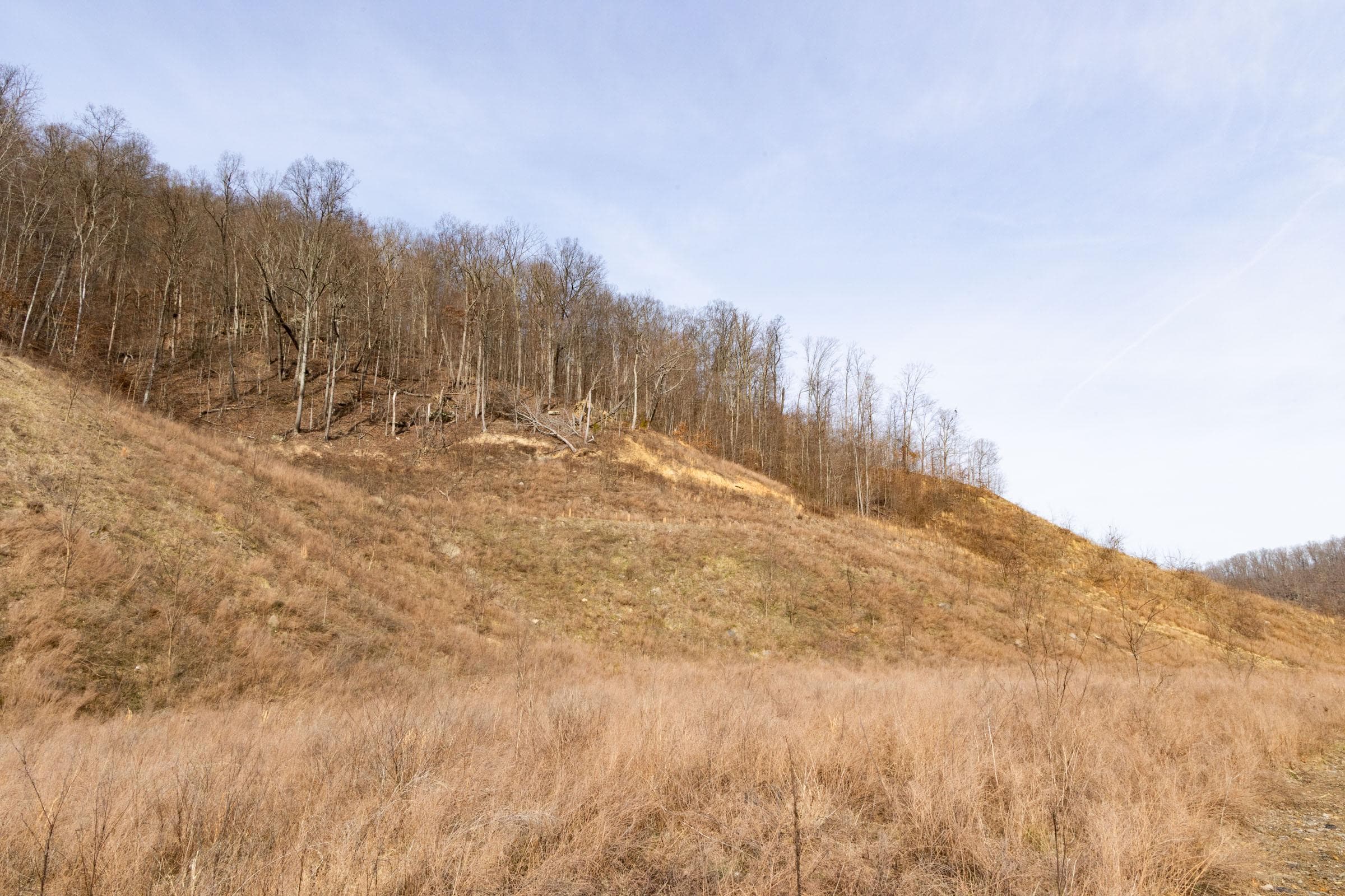 Jade Pass — Zero Credit Land owner financed land for sale in Whitley County, Kentucky photo 181