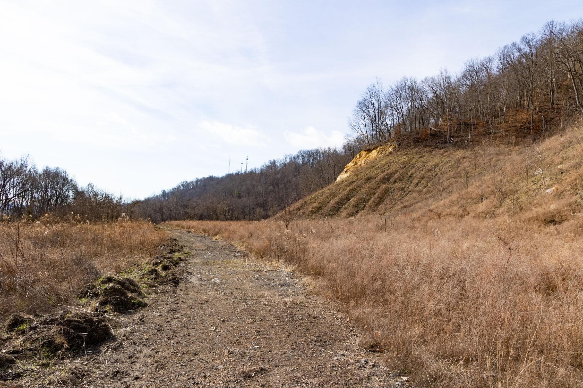 Jade Pass — Zero Credit Land owner financed land for sale in Whitley County, Kentucky photo 177