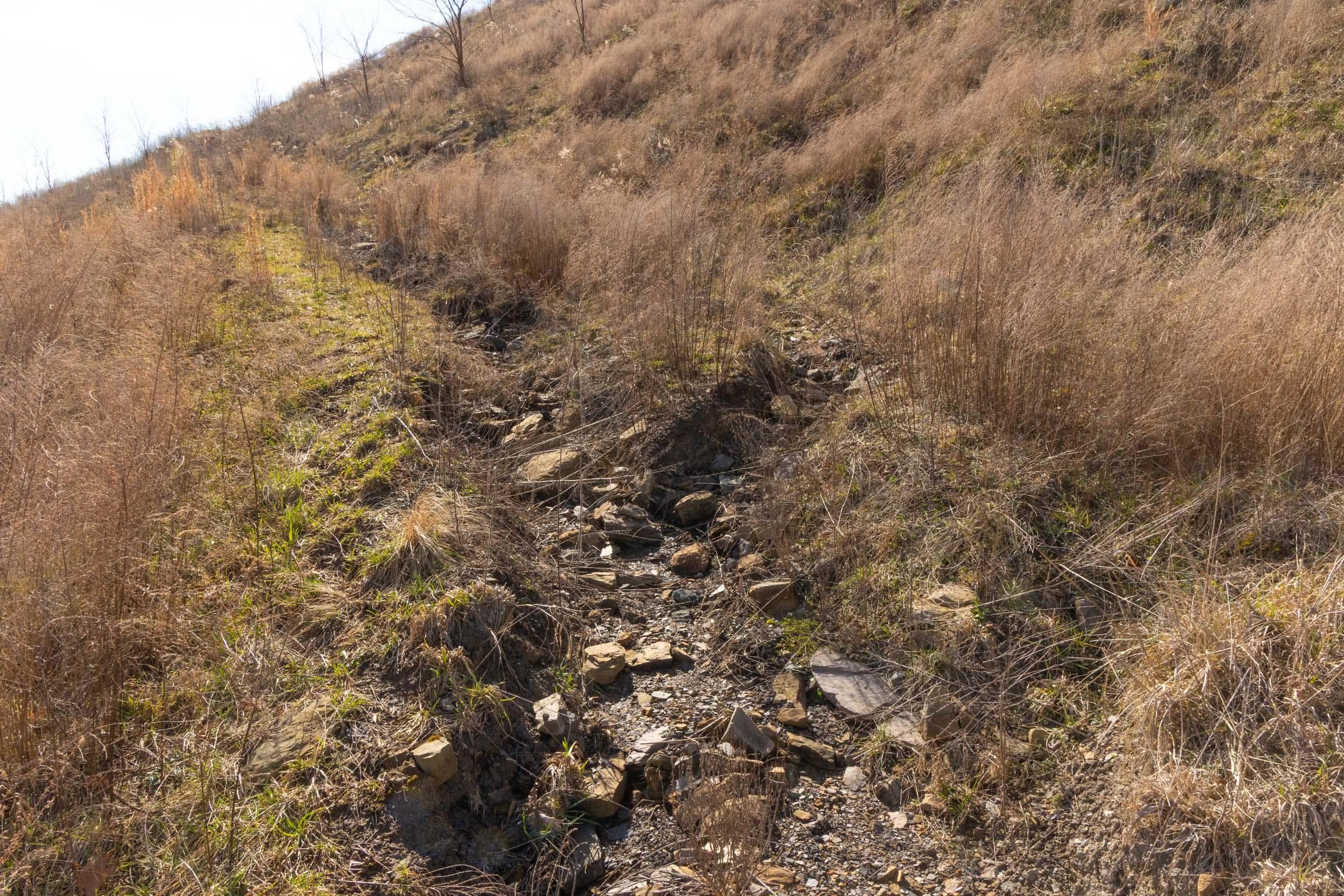 Jade Pass — Zero Credit Land owner financed land for sale in Whitley County, Kentucky photo 174