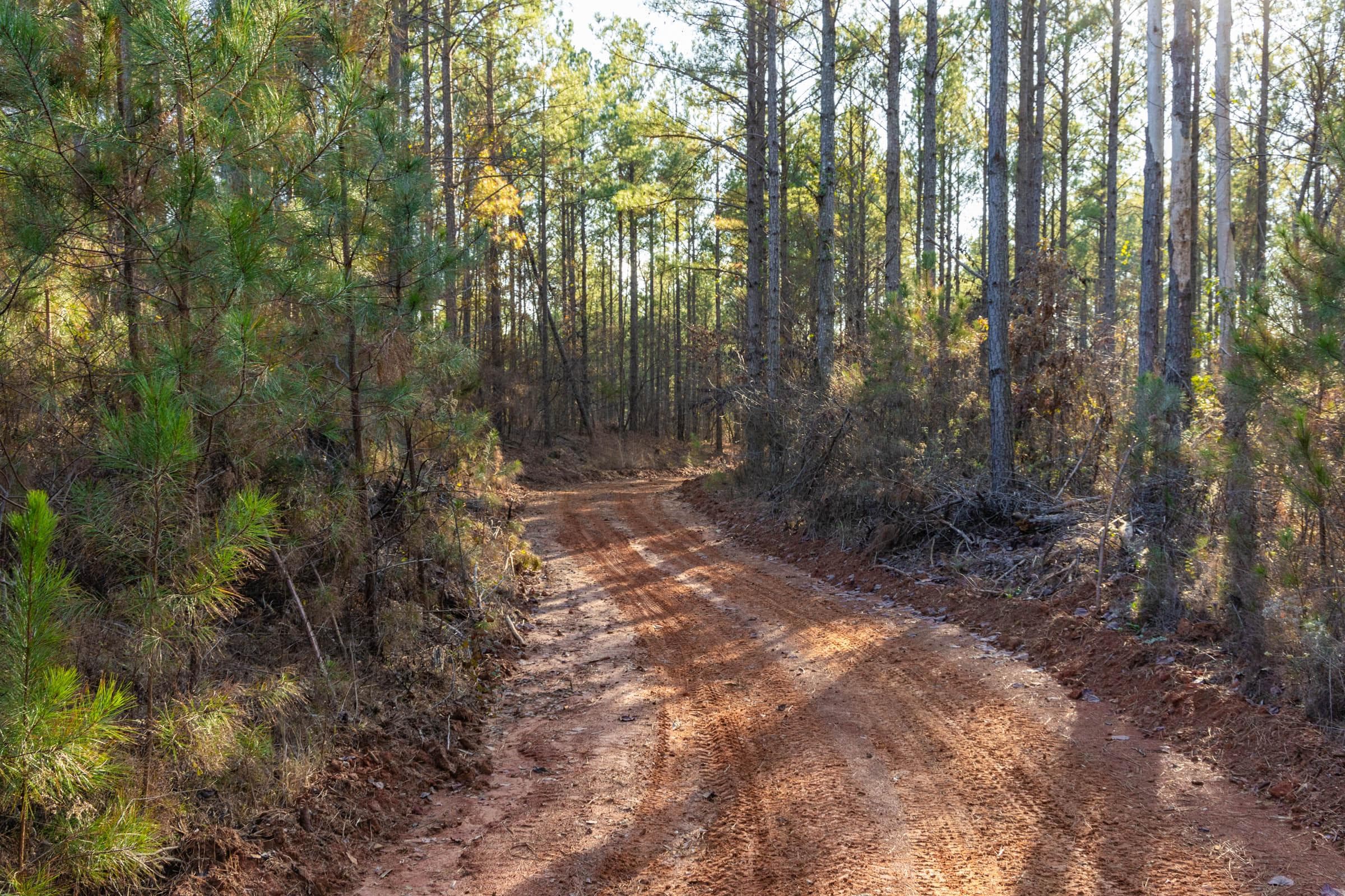 Jade Pass — Zero Credit Land owner financed land for sale in Whitley County, Kentucky photo 176