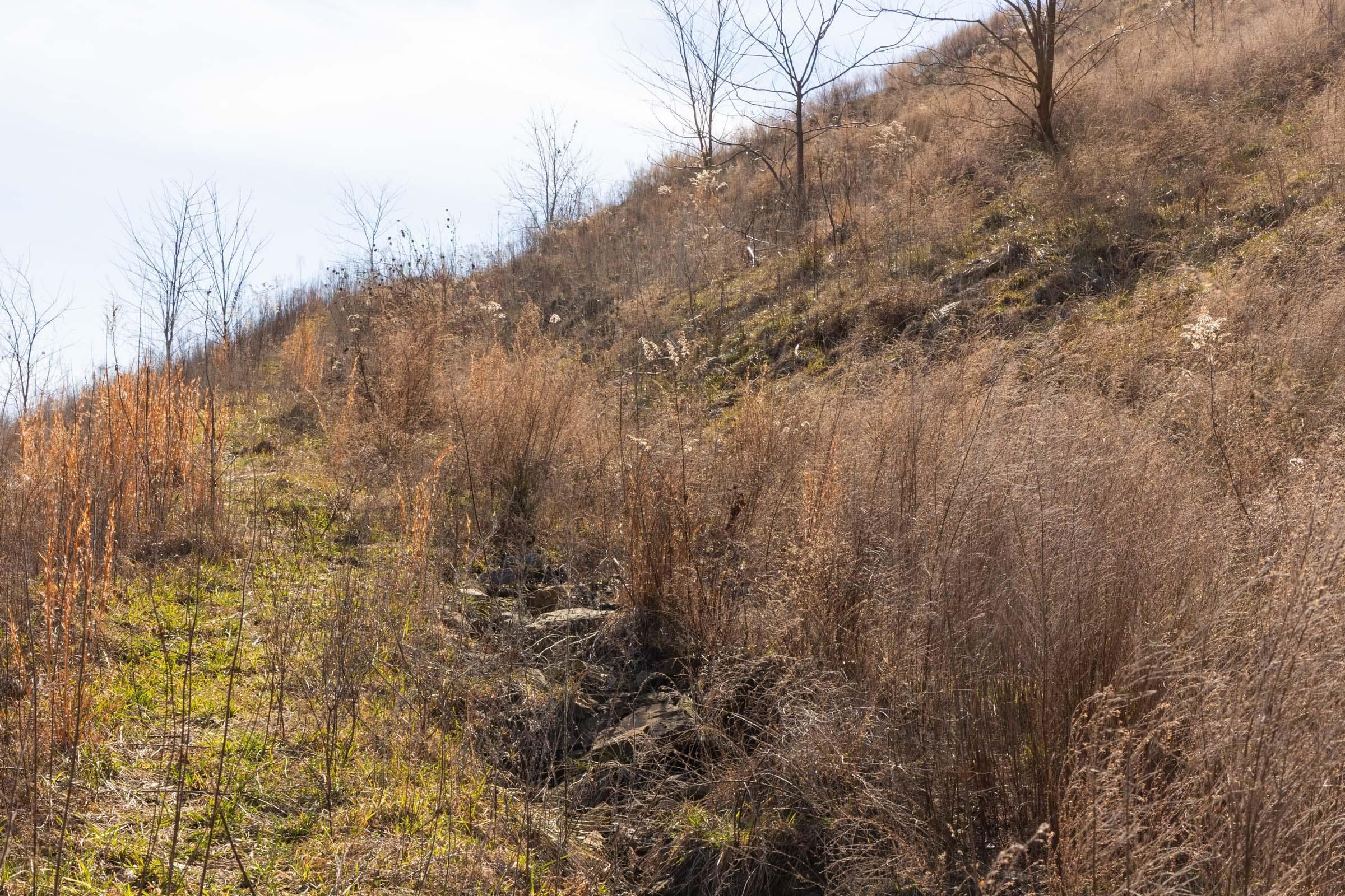 Jade Pass — Zero Credit Land owner financed land for sale in Whitley County, Kentucky photo 173