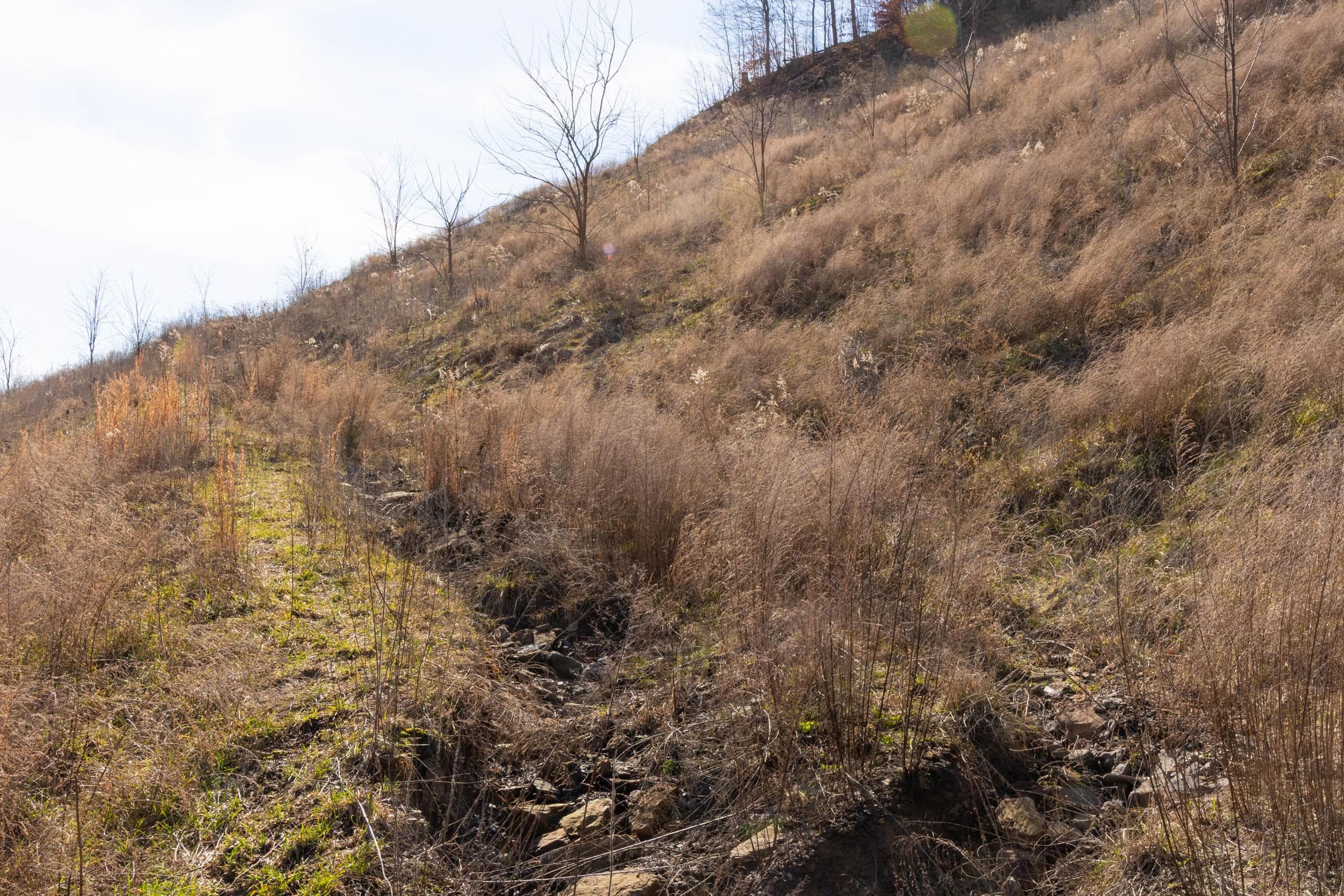 Jade Pass — Zero Credit Land owner financed land for sale in Whitley County, Kentucky photo 175