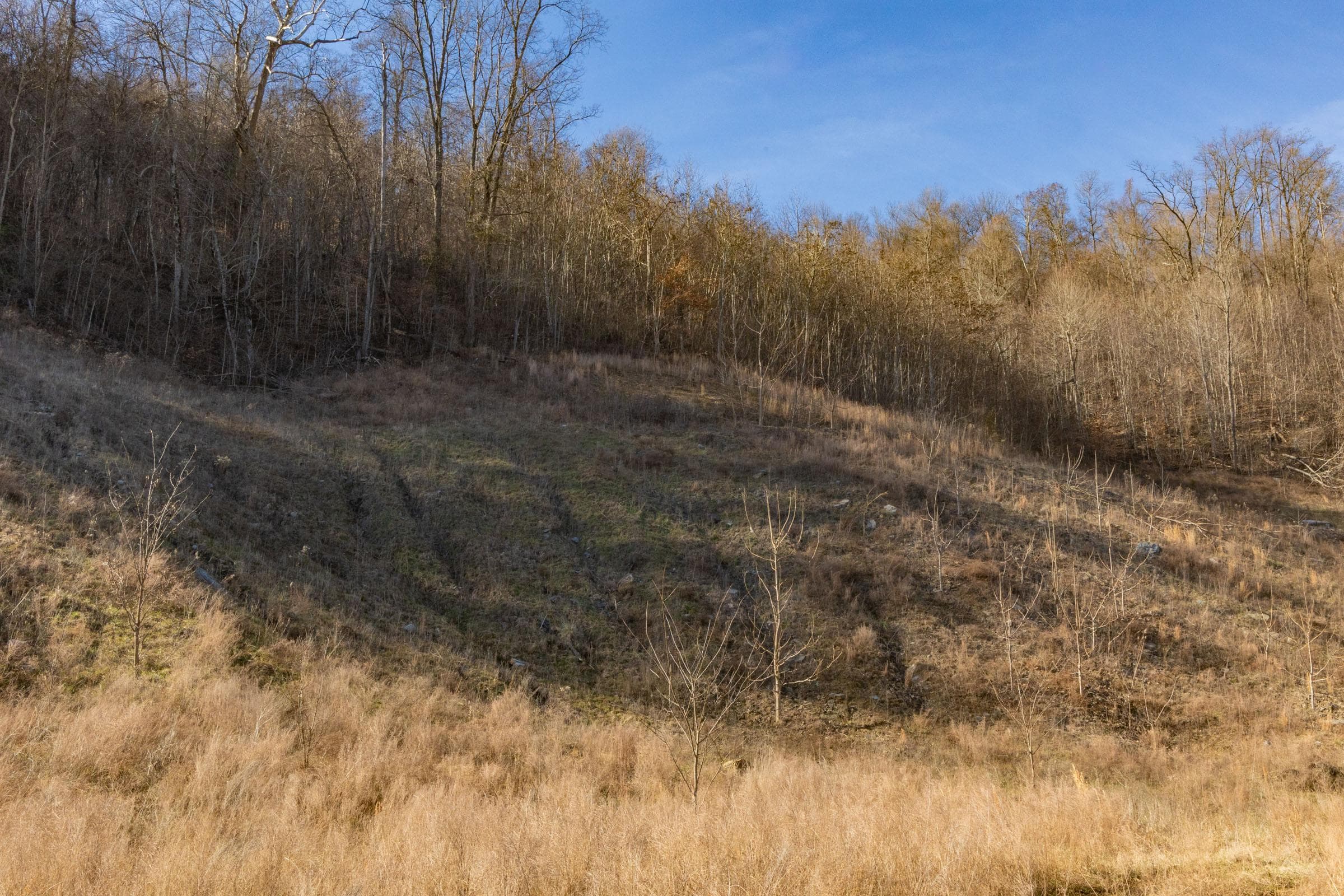Jade Pass — Zero Credit Land owner financed land for sale in Whitley County, Kentucky photo 169