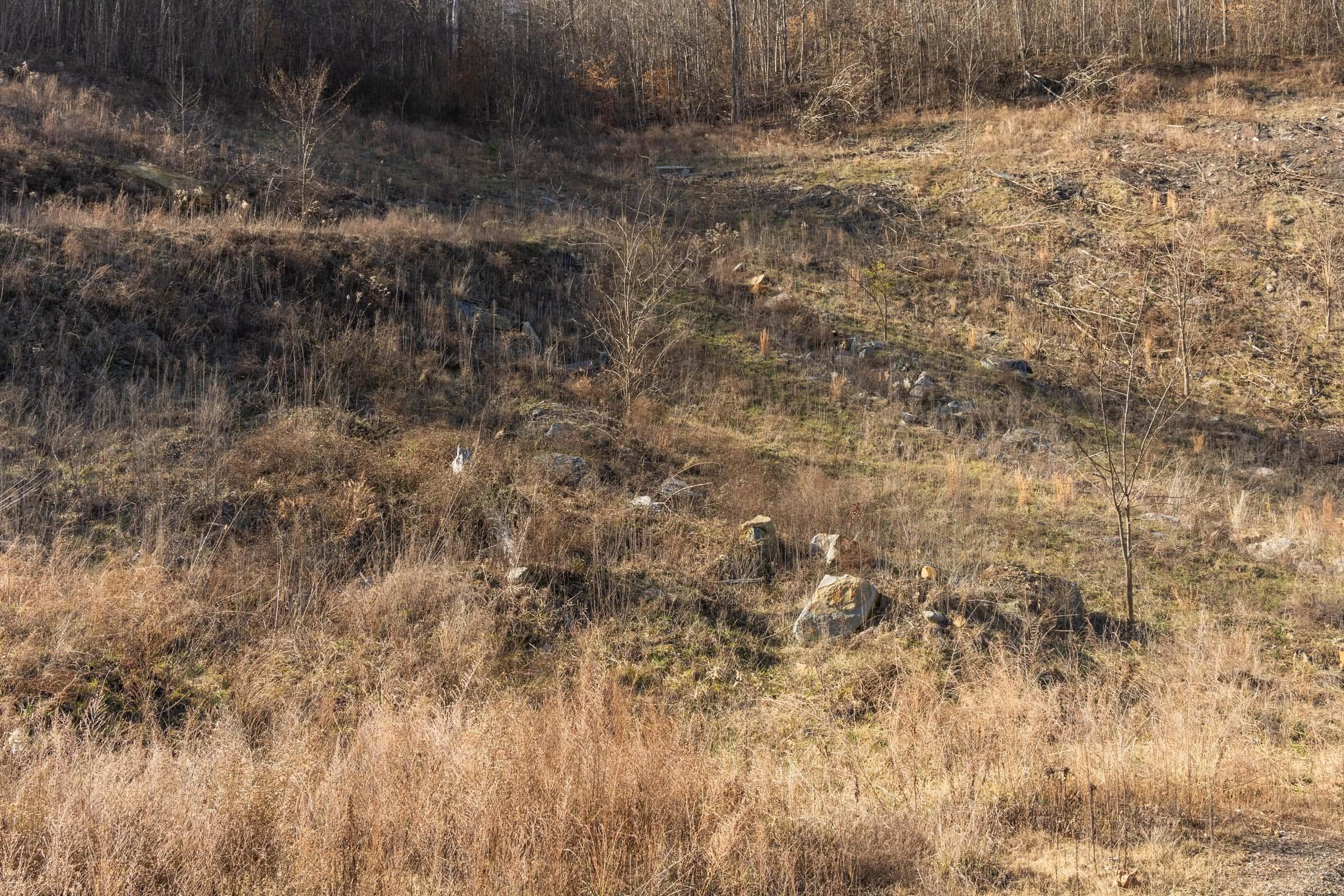 Jade Pass — Zero Credit Land owner financed land for sale in Whitley County, Kentucky photo 172