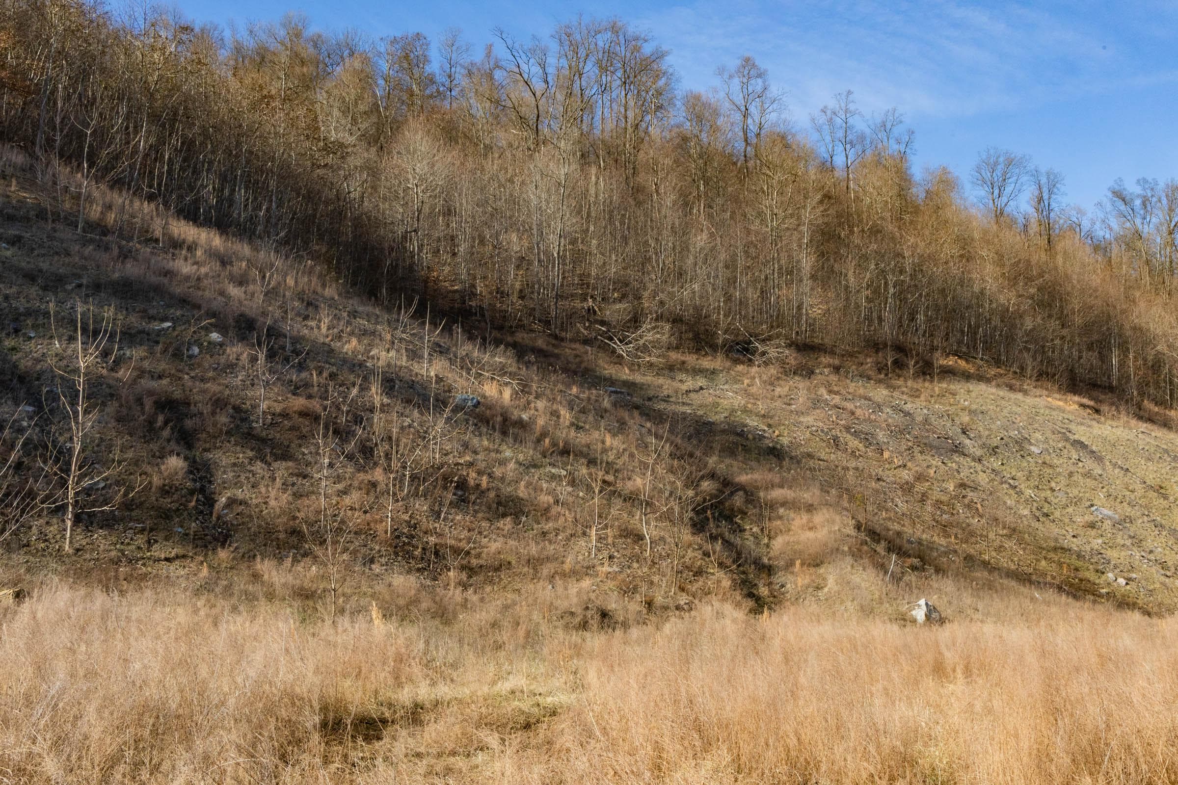Jade Pass — Zero Credit Land owner financed land for sale in Whitley County, Kentucky photo 170