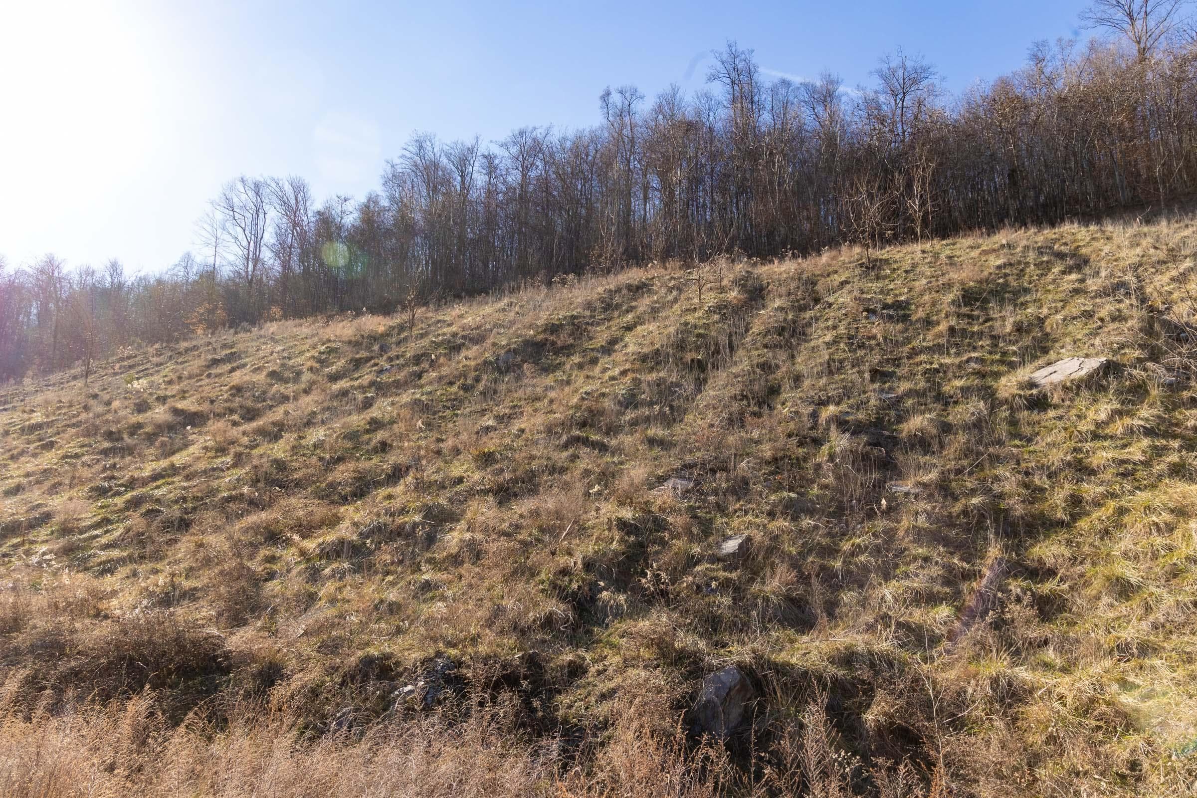 Jade Pass — Zero Credit Land owner financed land for sale in Whitley County, Kentucky photo 163