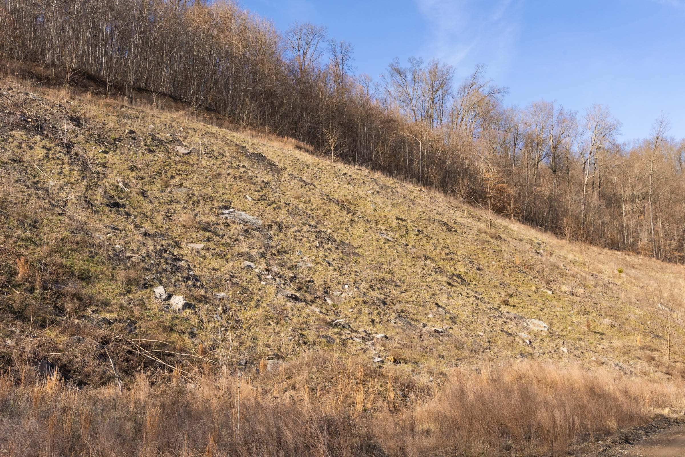 Jade Pass — Zero Credit Land owner financed land for sale in Whitley County, Kentucky photo 166