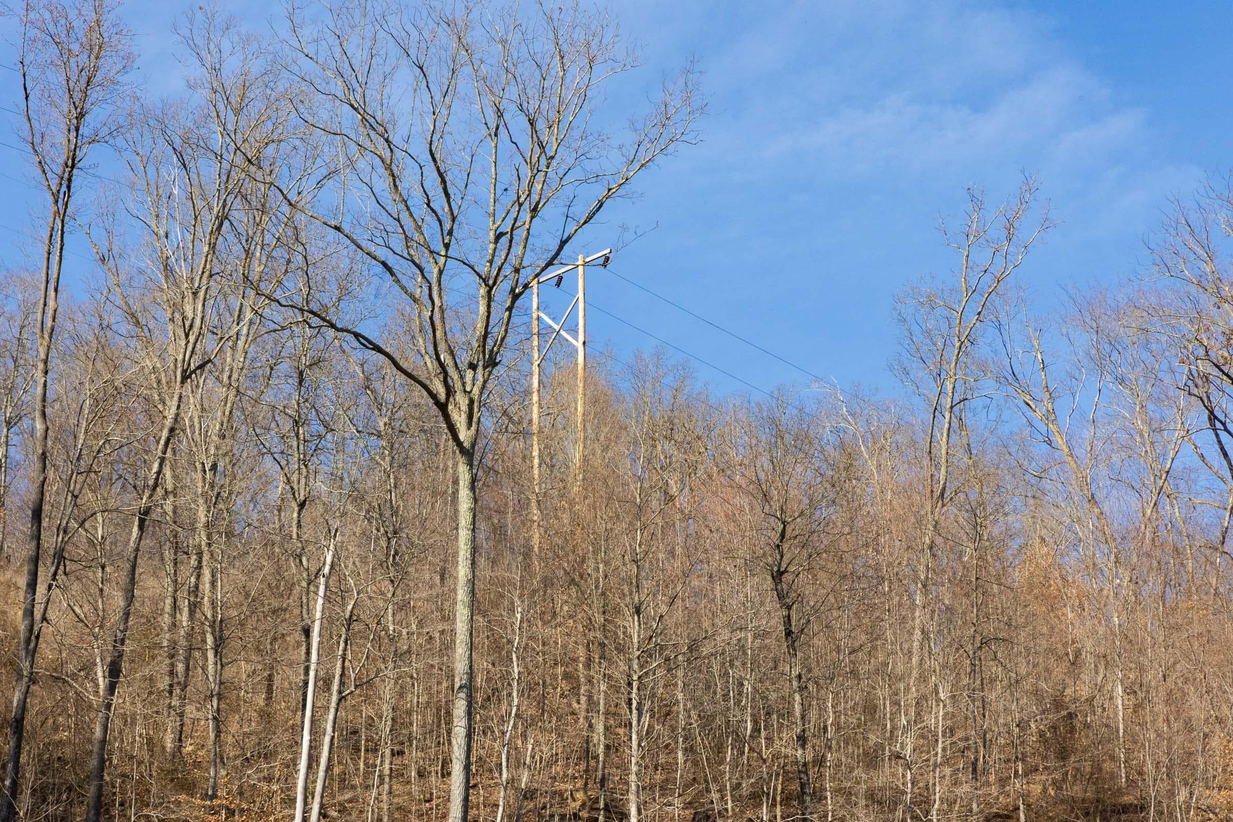 Jade Pass — Zero Credit Land owner financed land for sale in Whitley County, Kentucky photo 159