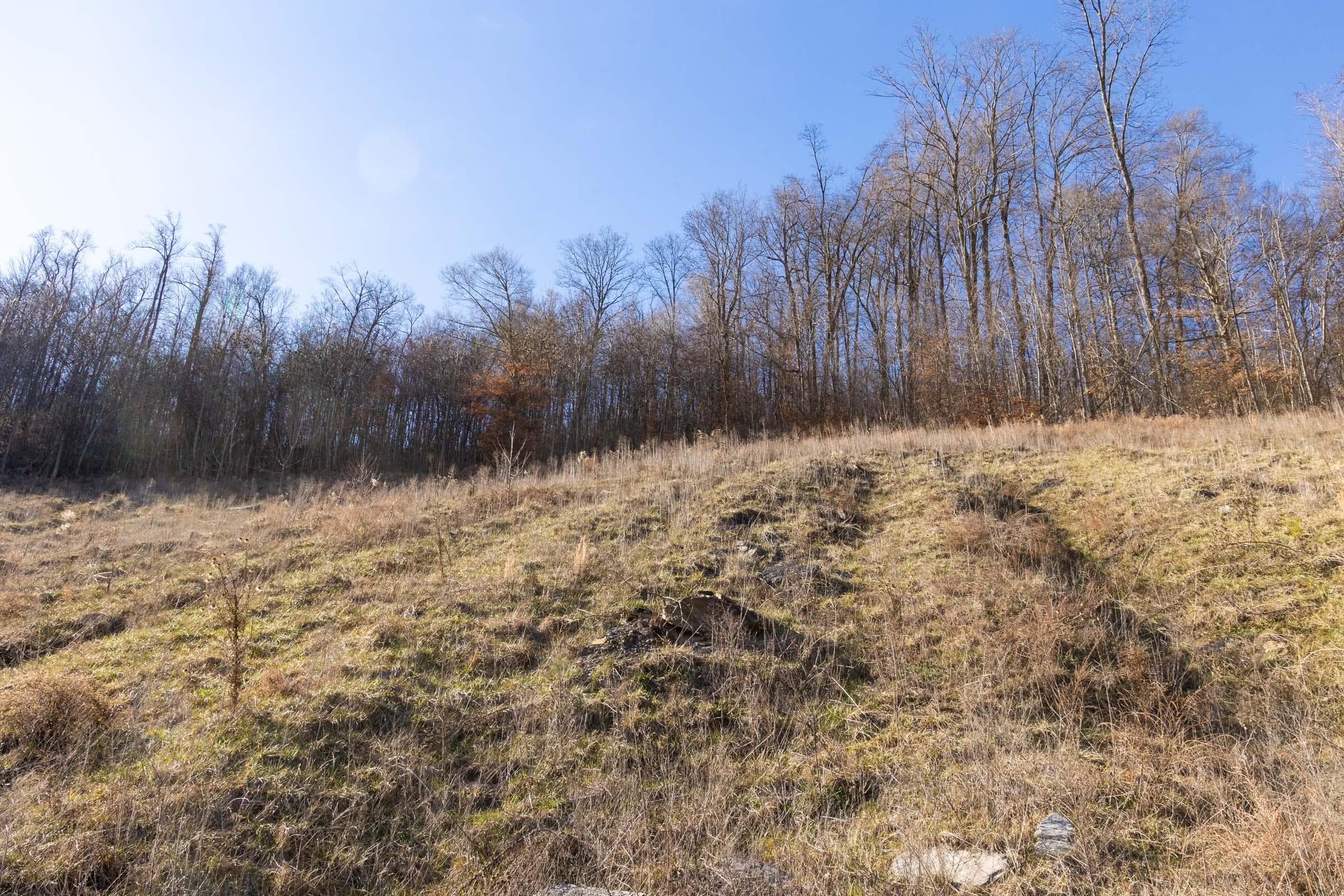 Jade Pass — Zero Credit Land owner financed land for sale in Whitley County, Kentucky photo 162