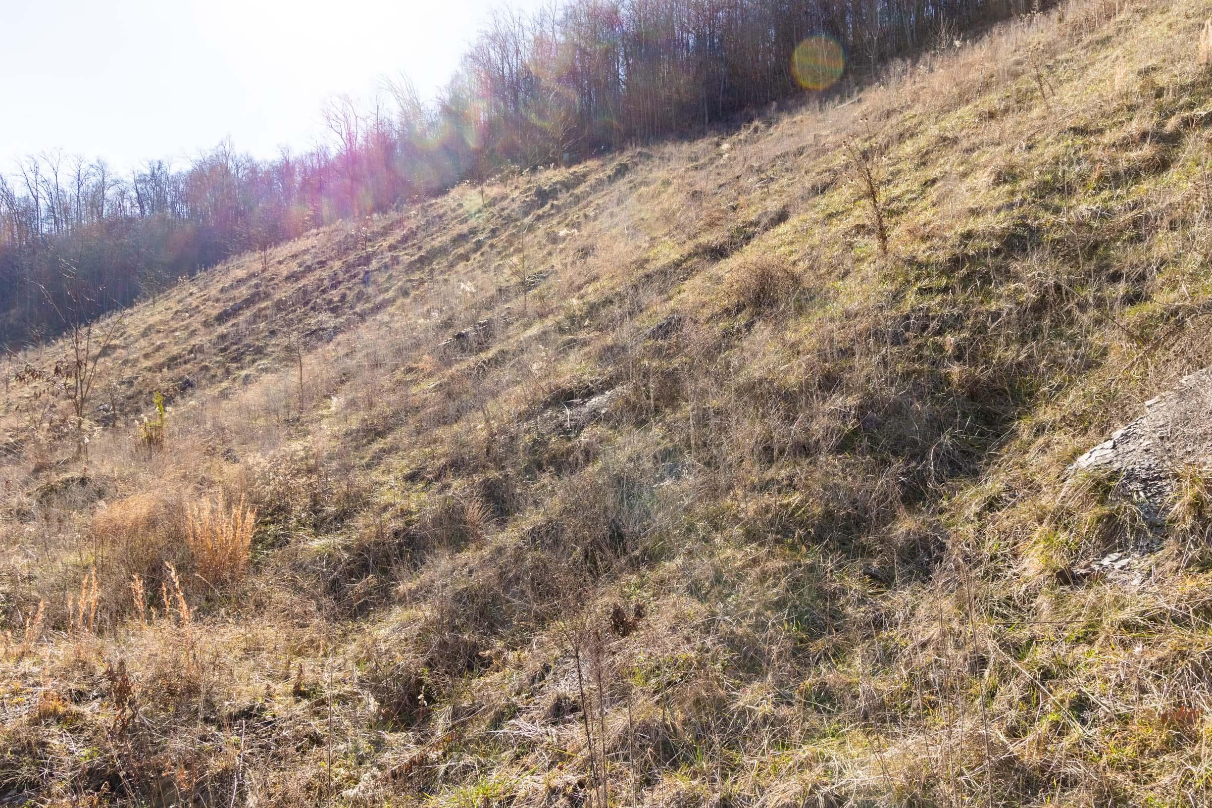 Jade Pass — Zero Credit Land owner financed land for sale in Whitley County, Kentucky photo 160