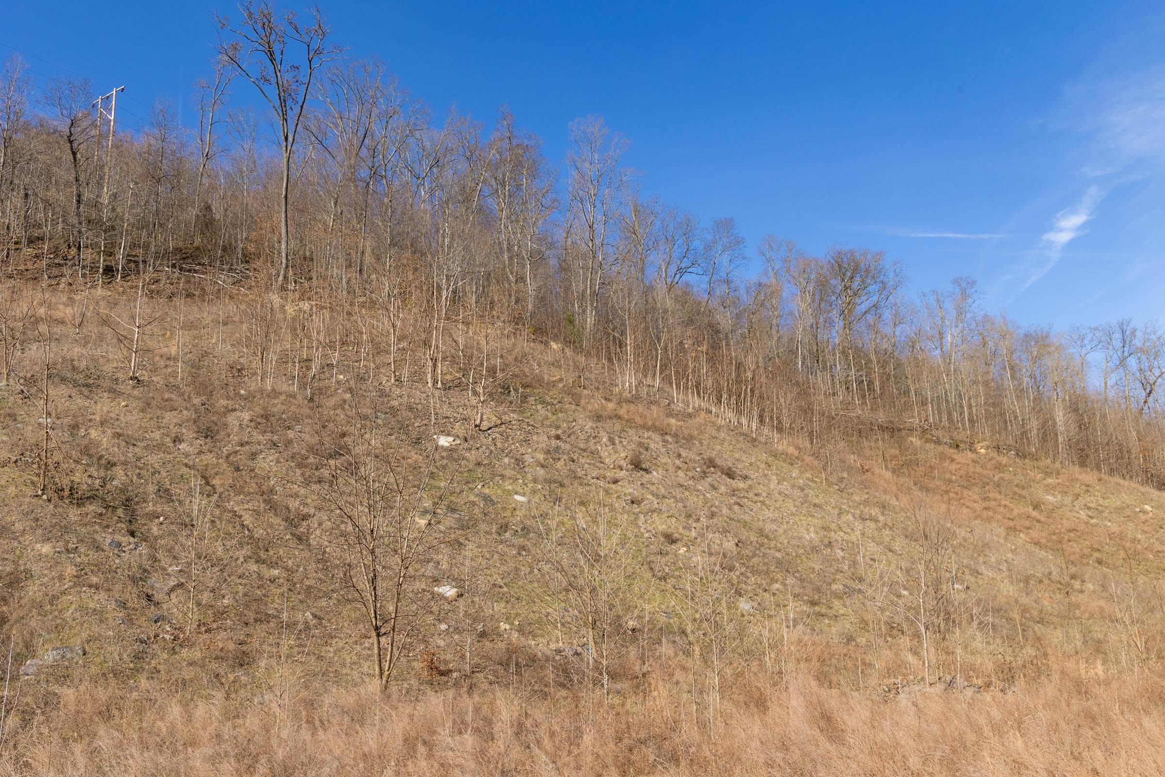 Jade Pass — Zero Credit Land owner financed land for sale in Whitley County, Kentucky photo 157