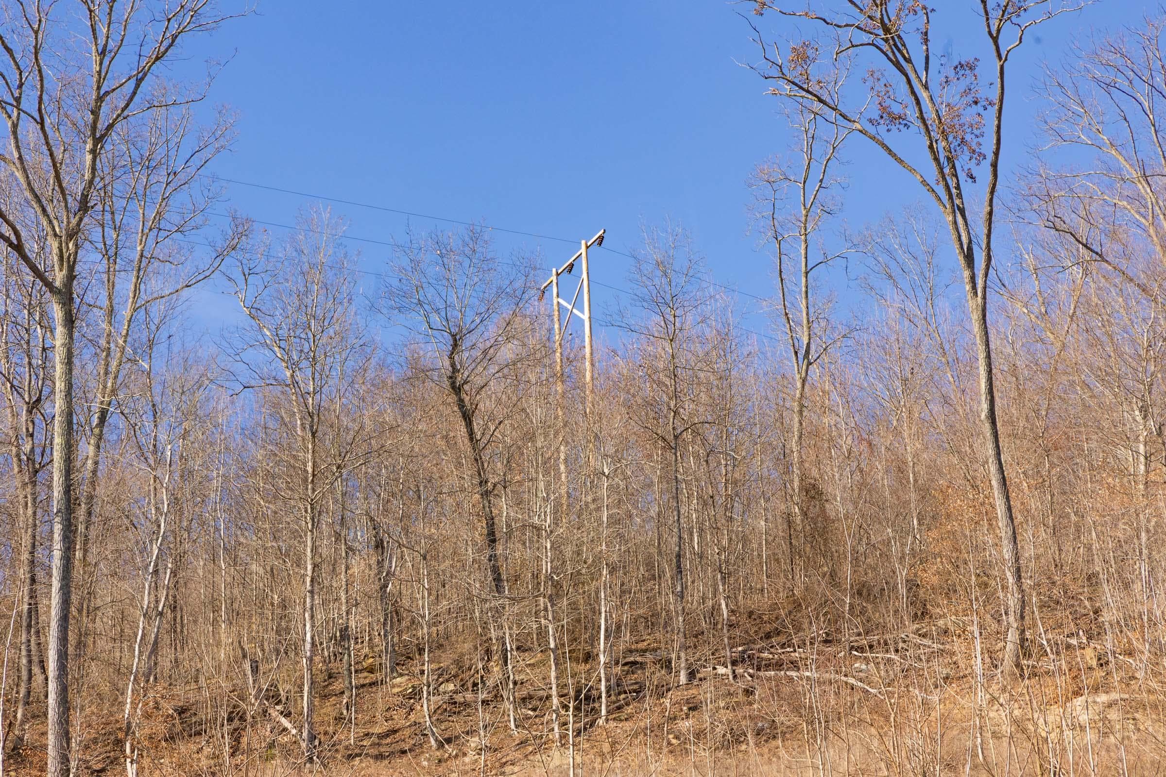Jade Pass — Zero Credit Land owner financed land for sale in Whitley County, Kentucky photo 155