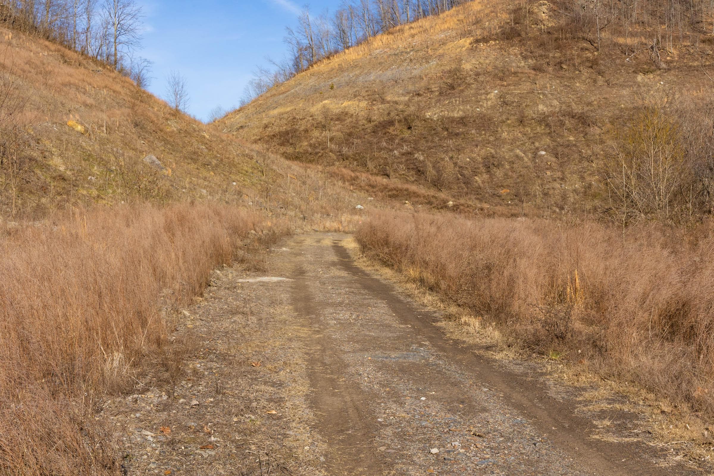 Jade Pass — Zero Credit Land owner financed land for sale in Whitley County, Kentucky photo 152