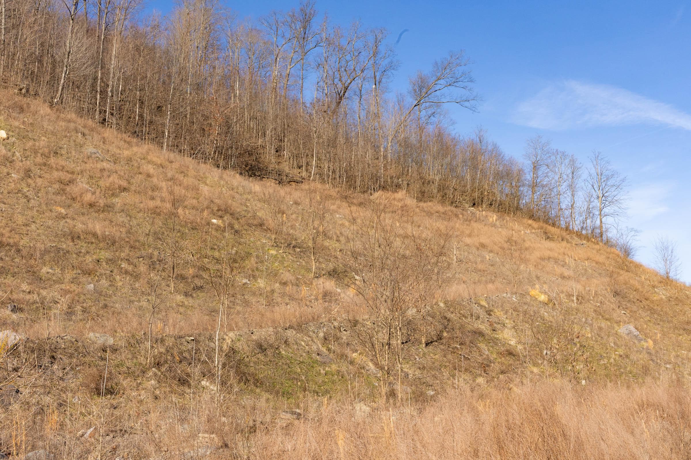 Jade Pass — Zero Credit Land owner financed land for sale in Whitley County, Kentucky photo 151