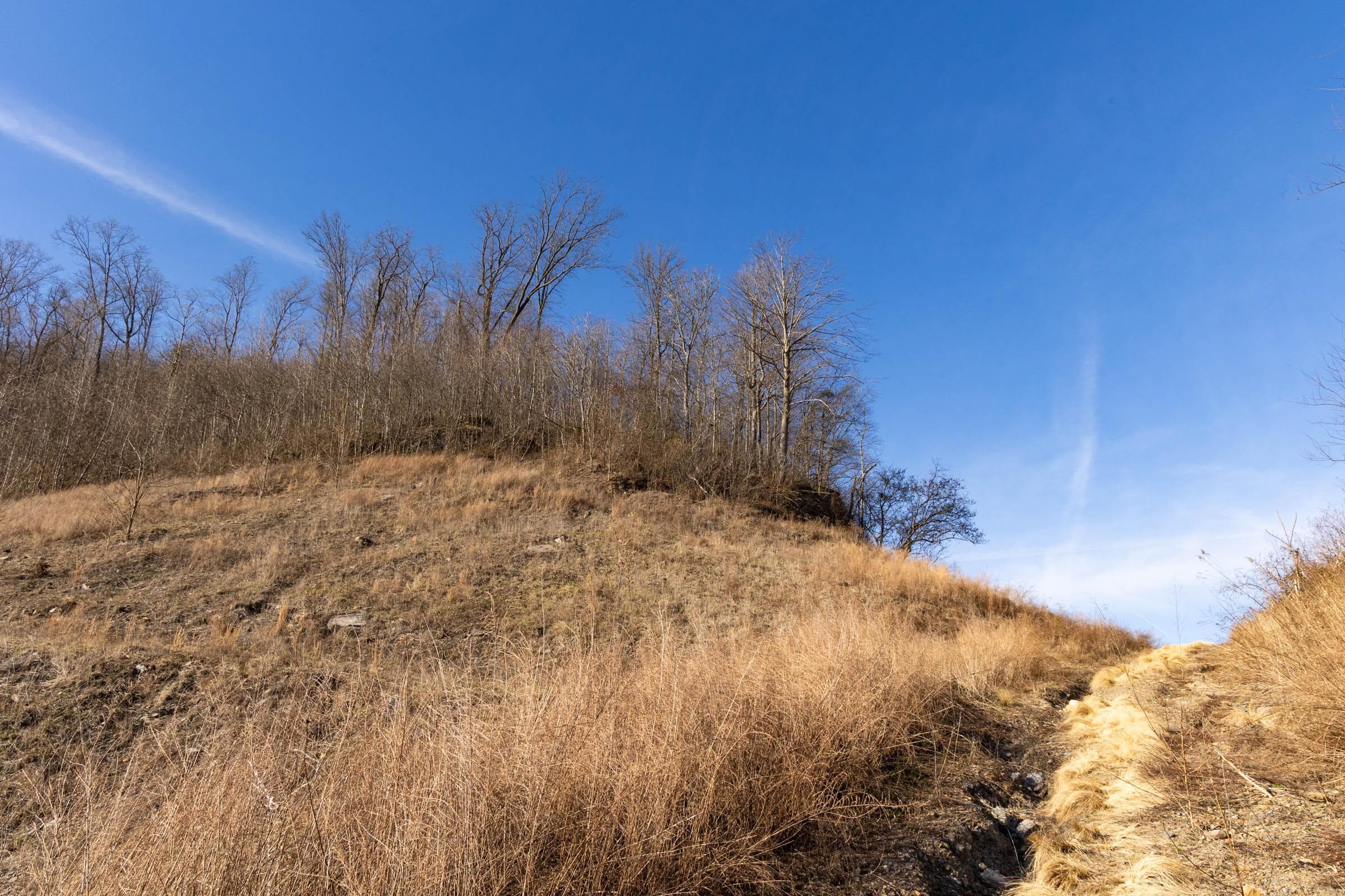 Jade Pass — Zero Credit Land owner financed land for sale in Whitley County, Kentucky photo 149