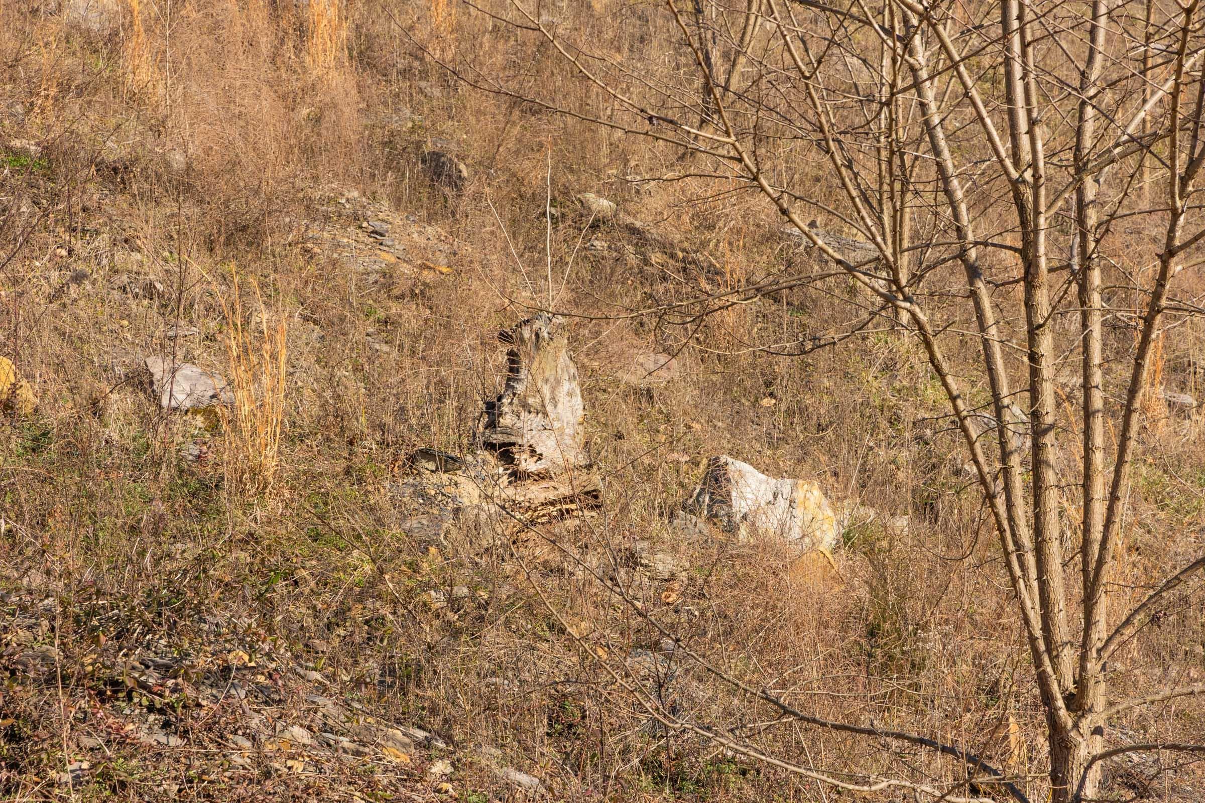 Jade Pass — Zero Credit Land owner financed land for sale in Whitley County, Kentucky photo 143