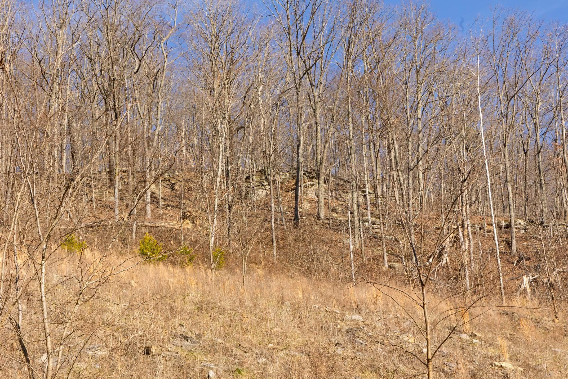 Jade Pass — Zero Credit Land owner financed land for sale in Whitley County, Kentucky photo 145