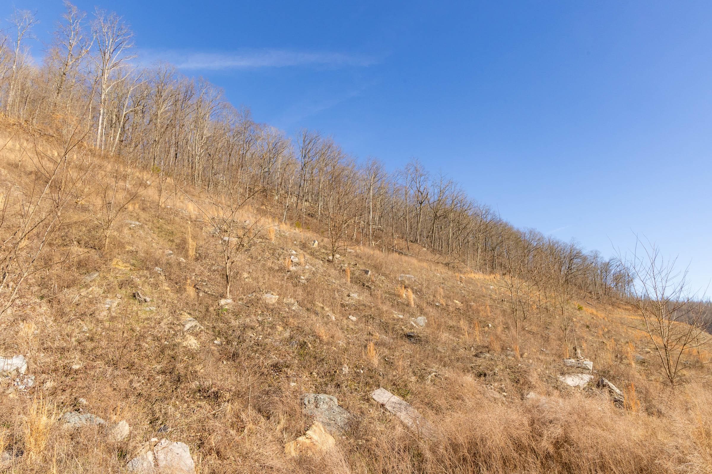 Jade Pass — Zero Credit Land owner financed land for sale in Whitley County, Kentucky photo 146