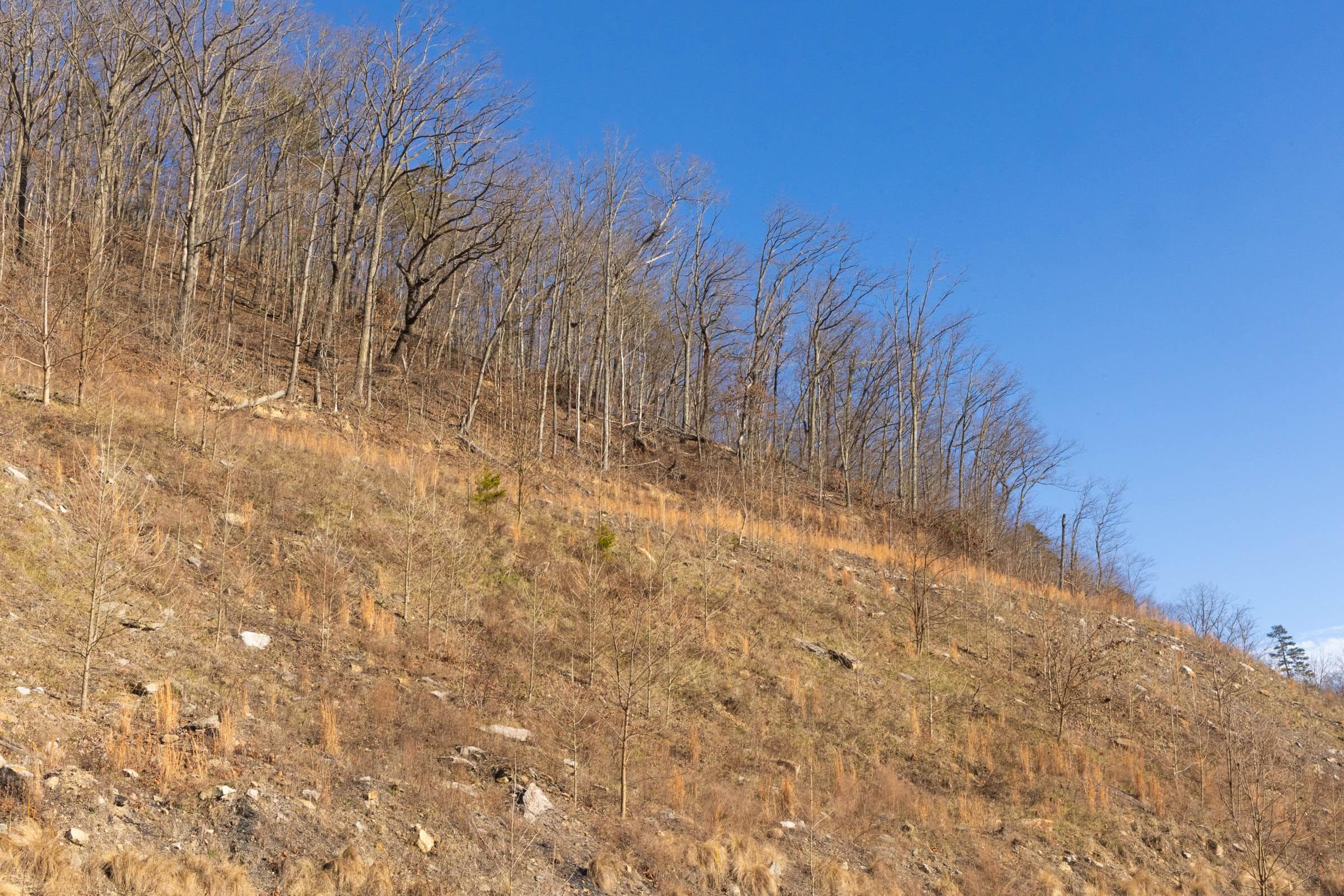 Jade Pass — Zero Credit Land owner financed land for sale in Whitley County, Kentucky photo 137