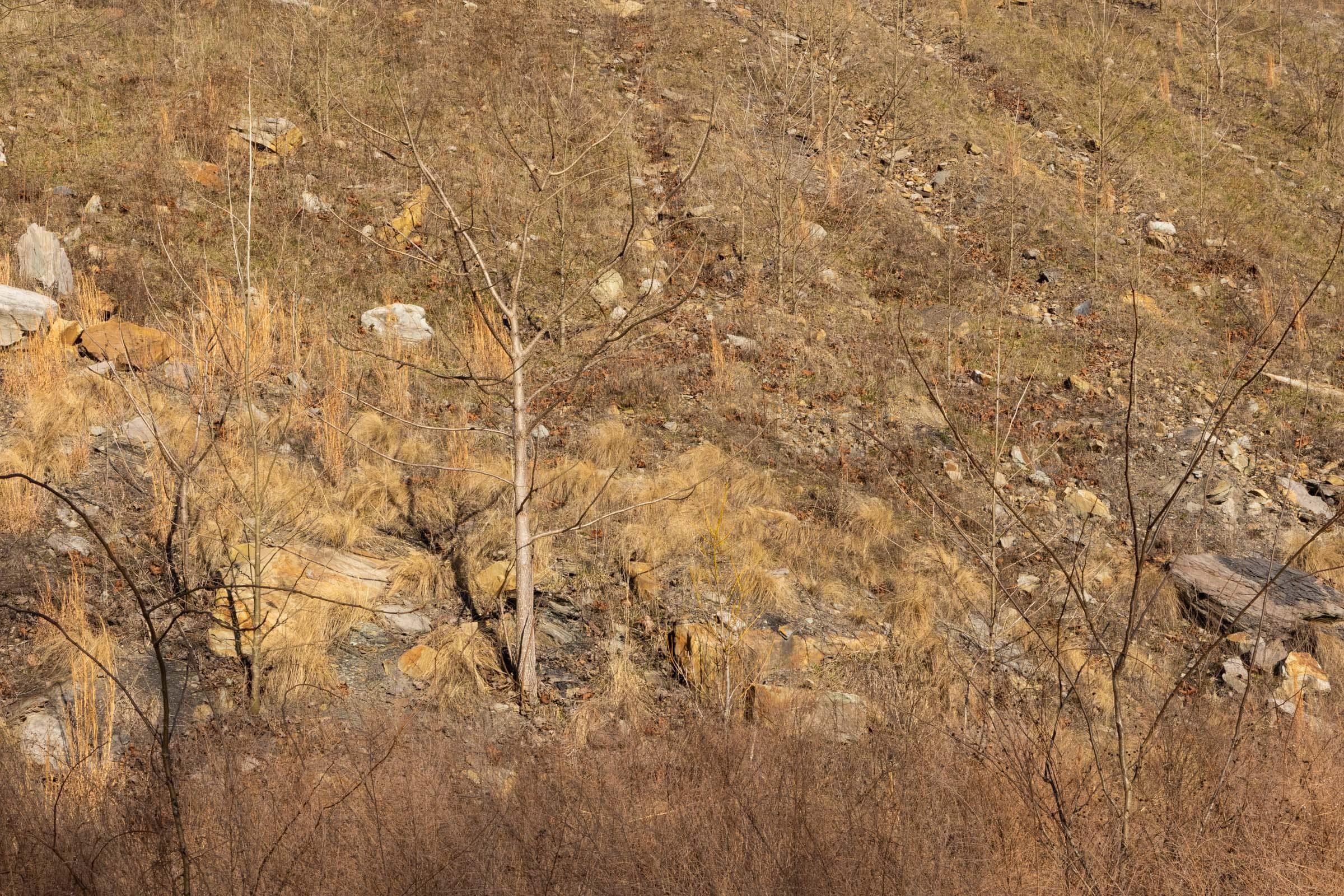 Jade Pass — Zero Credit Land owner financed land for sale in Whitley County, Kentucky photo 141