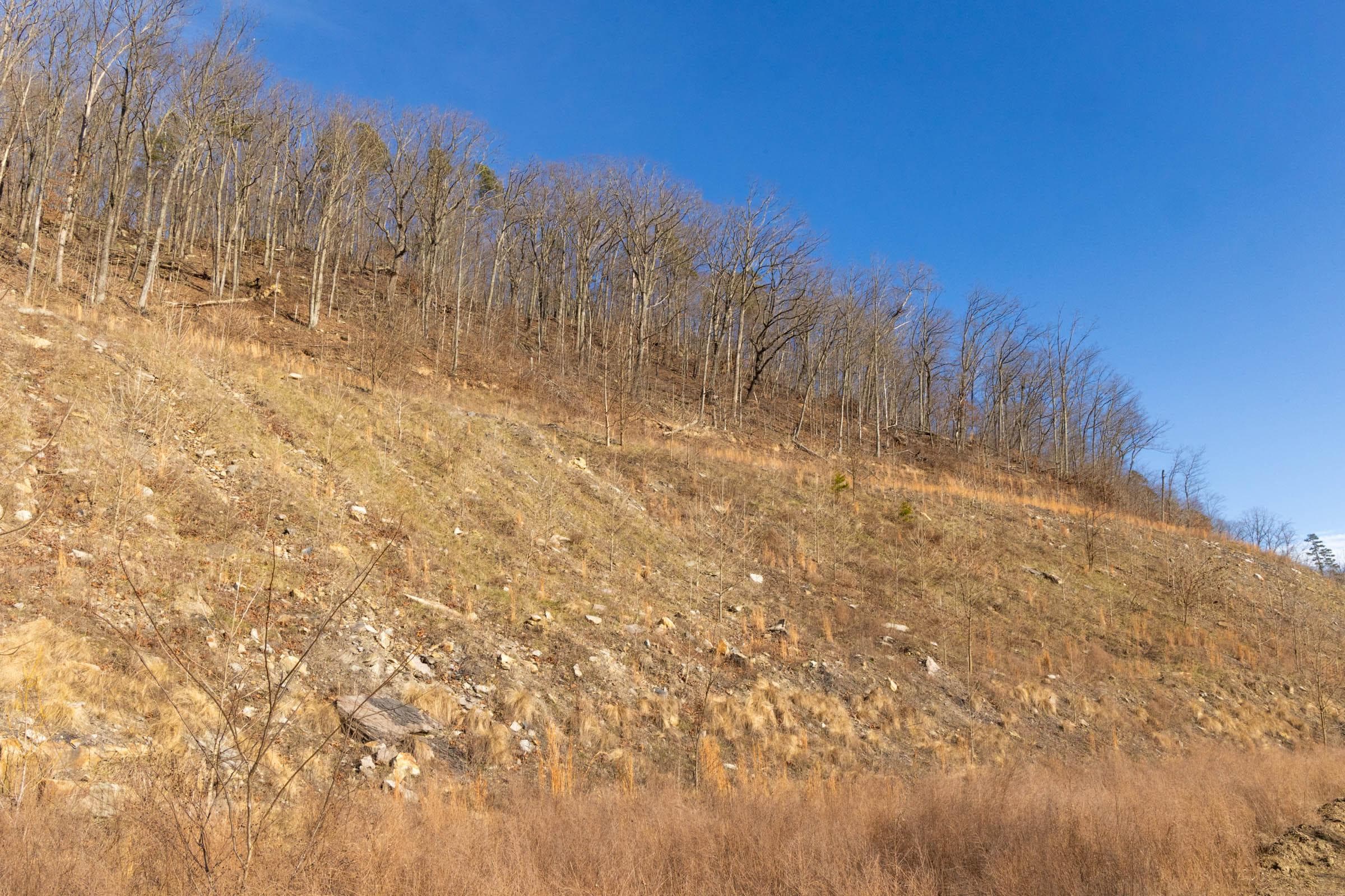 Jade Pass — Zero Credit Land owner financed land for sale in Whitley County, Kentucky photo 138