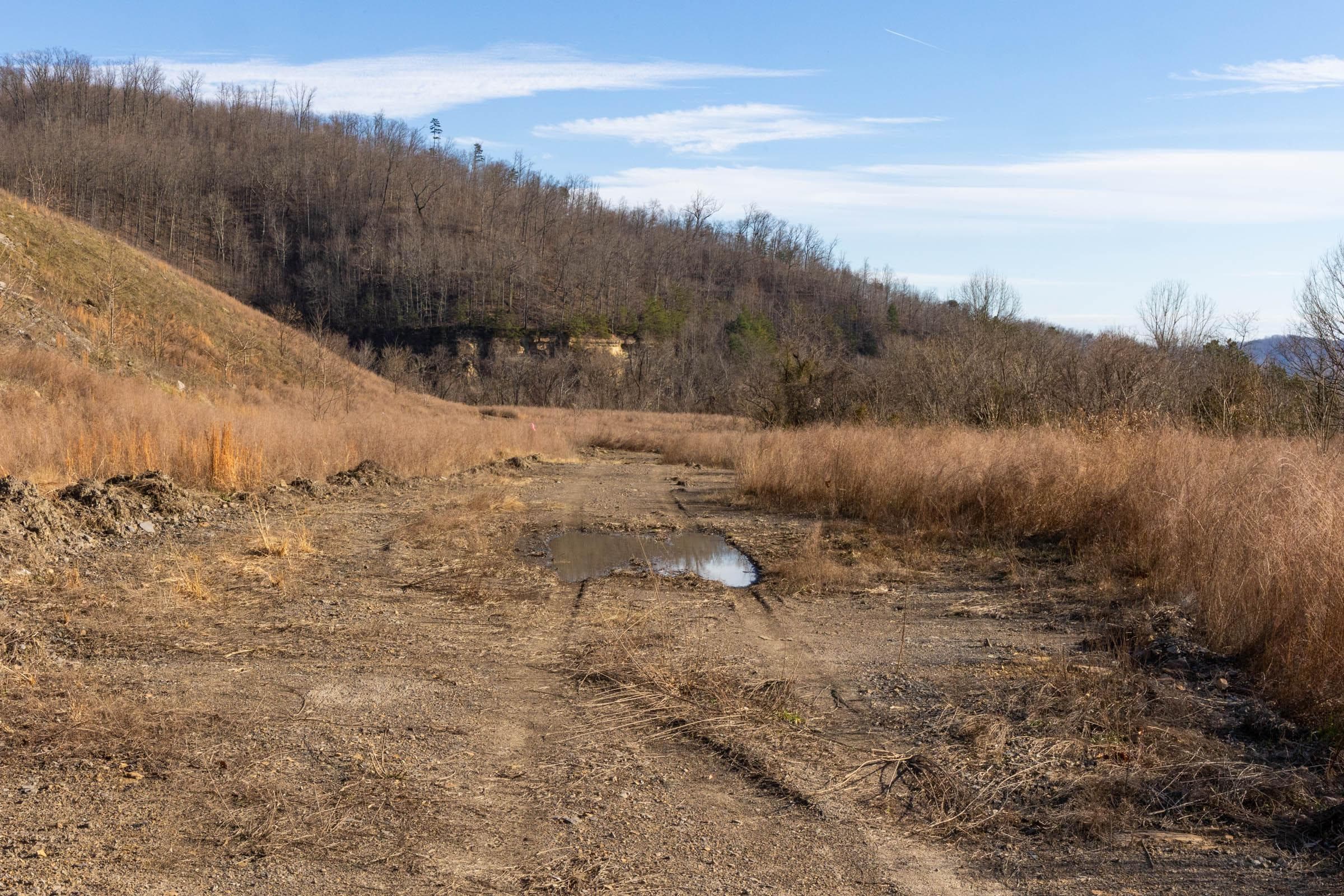 Jade Pass — Zero Credit Land owner financed land for sale in Whitley County, Kentucky photo 135