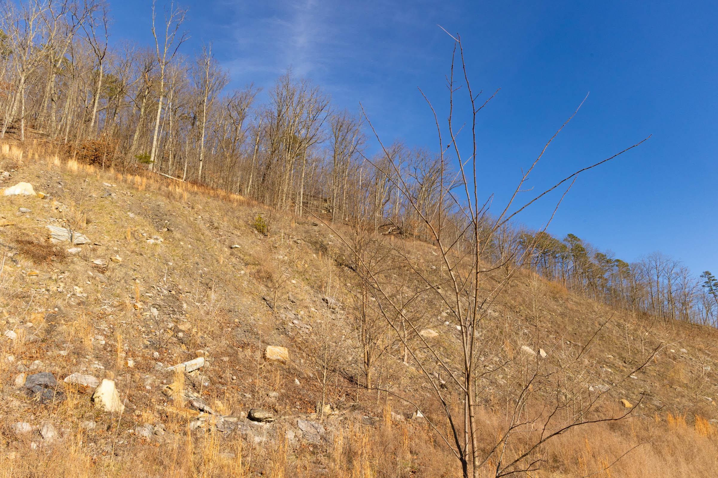 Jade Pass — Zero Credit Land owner financed land for sale in Whitley County, Kentucky photo 133