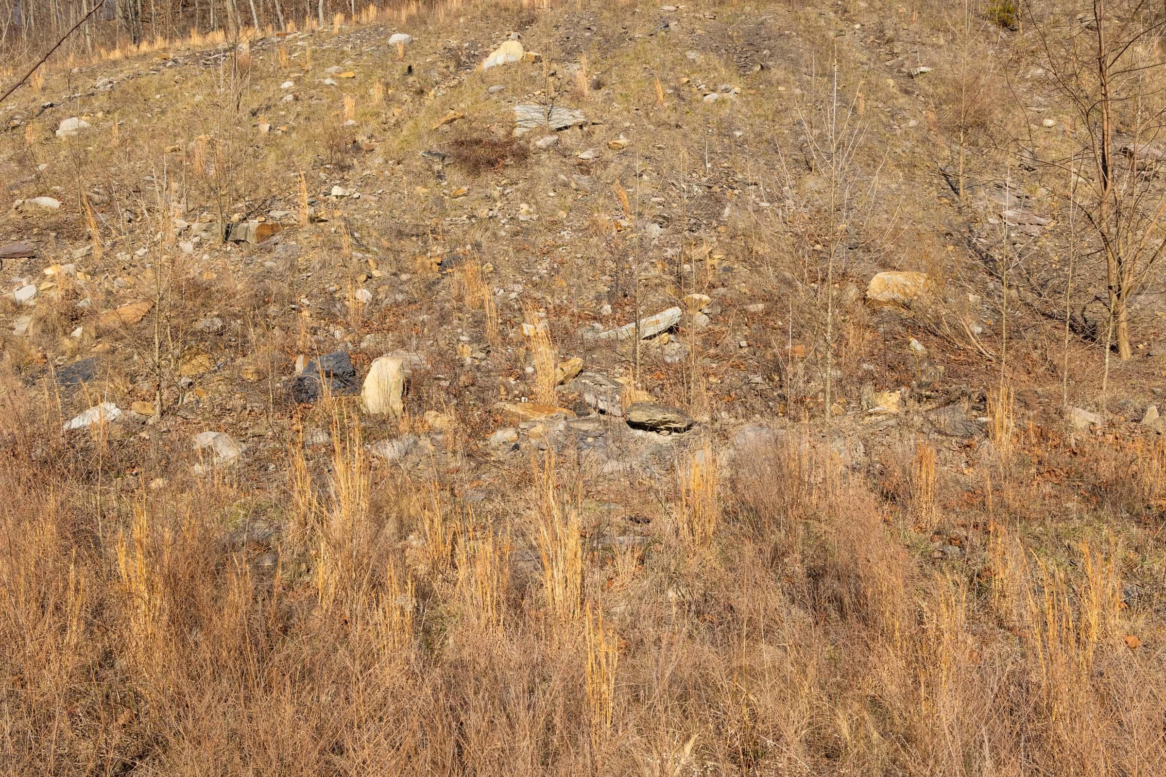 Jade Pass — Zero Credit Land owner financed land for sale in Whitley County, Kentucky photo 134