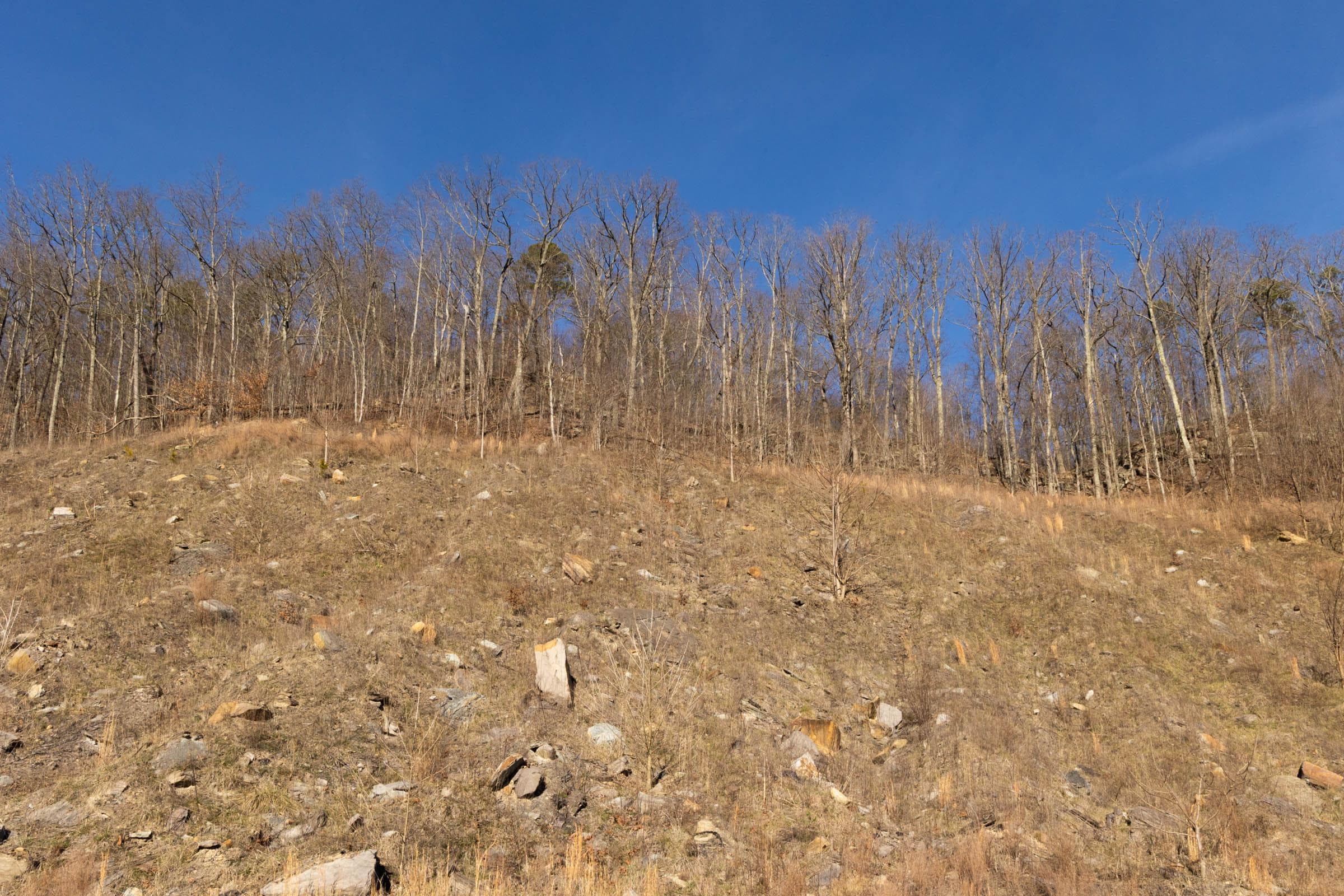 Jade Pass — Zero Credit Land owner financed land for sale in Whitley County, Kentucky photo 129