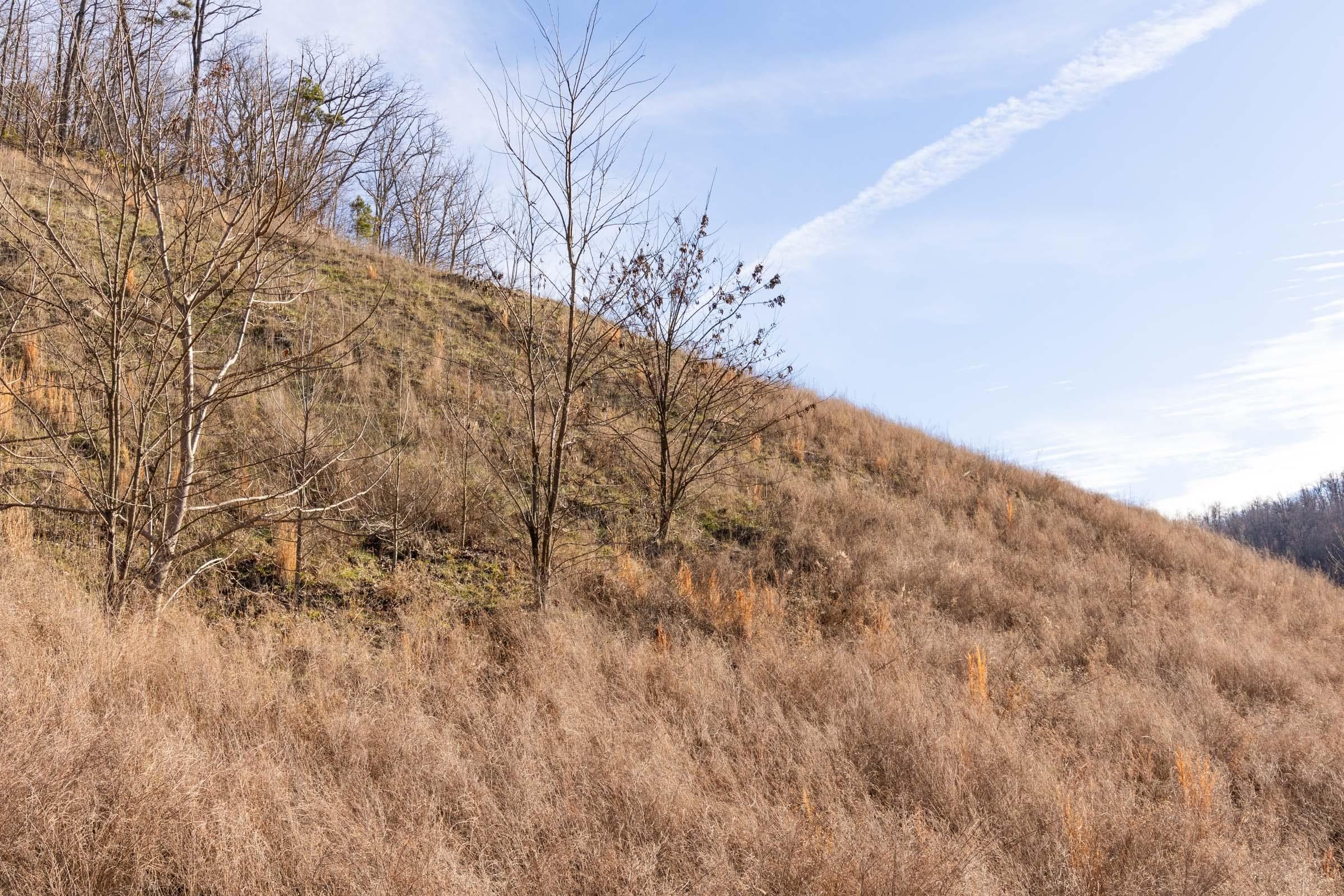 Jade Pass — Zero Credit Land owner financed land for sale in Whitley County, Kentucky photo 127