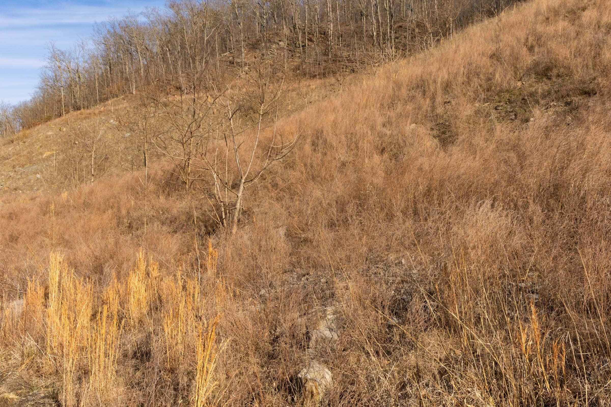 Jade Pass — Zero Credit Land owner financed land for sale in Whitley County, Kentucky photo 125