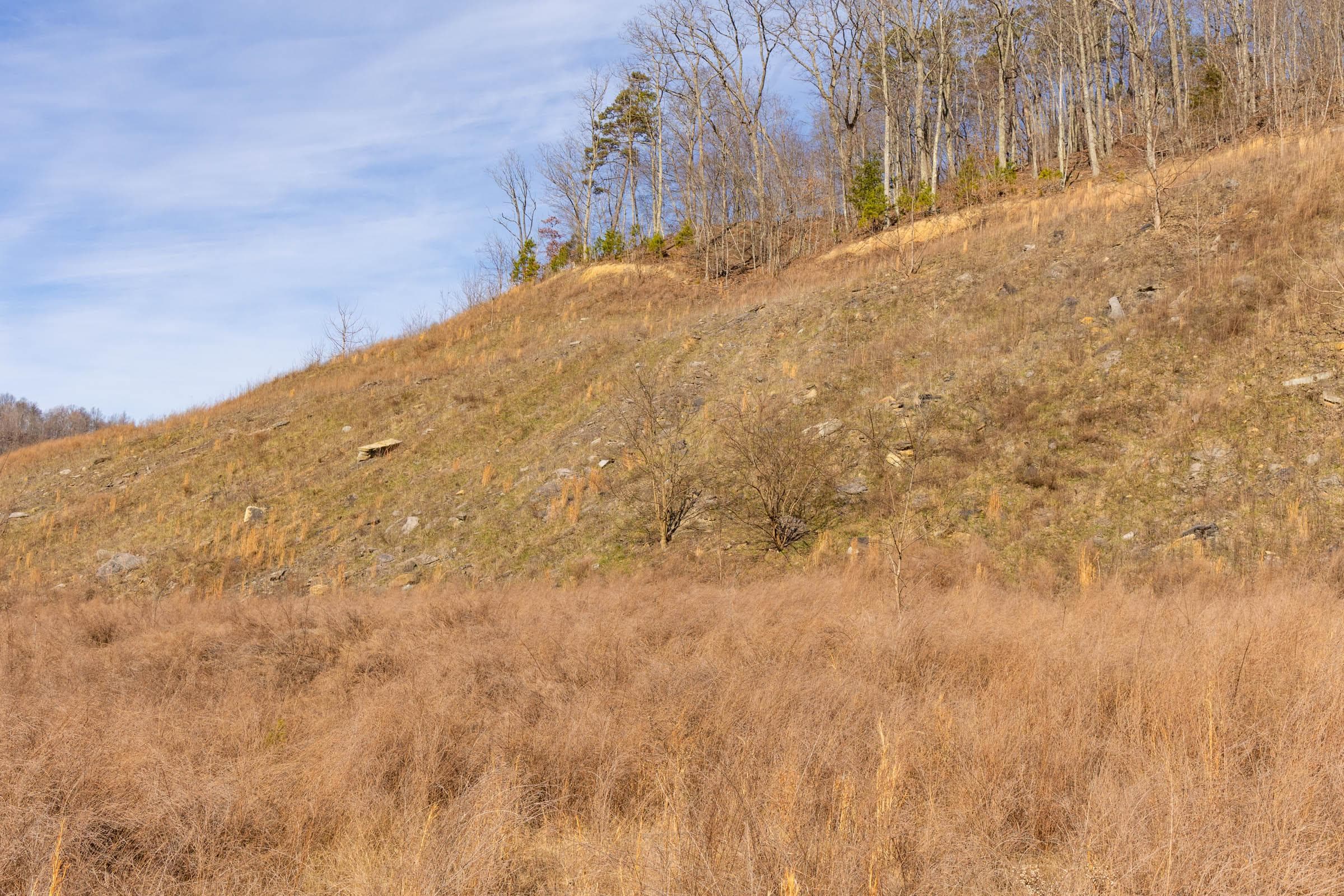 Jade Pass — Zero Credit Land owner financed land for sale in Whitley County, Kentucky photo 119